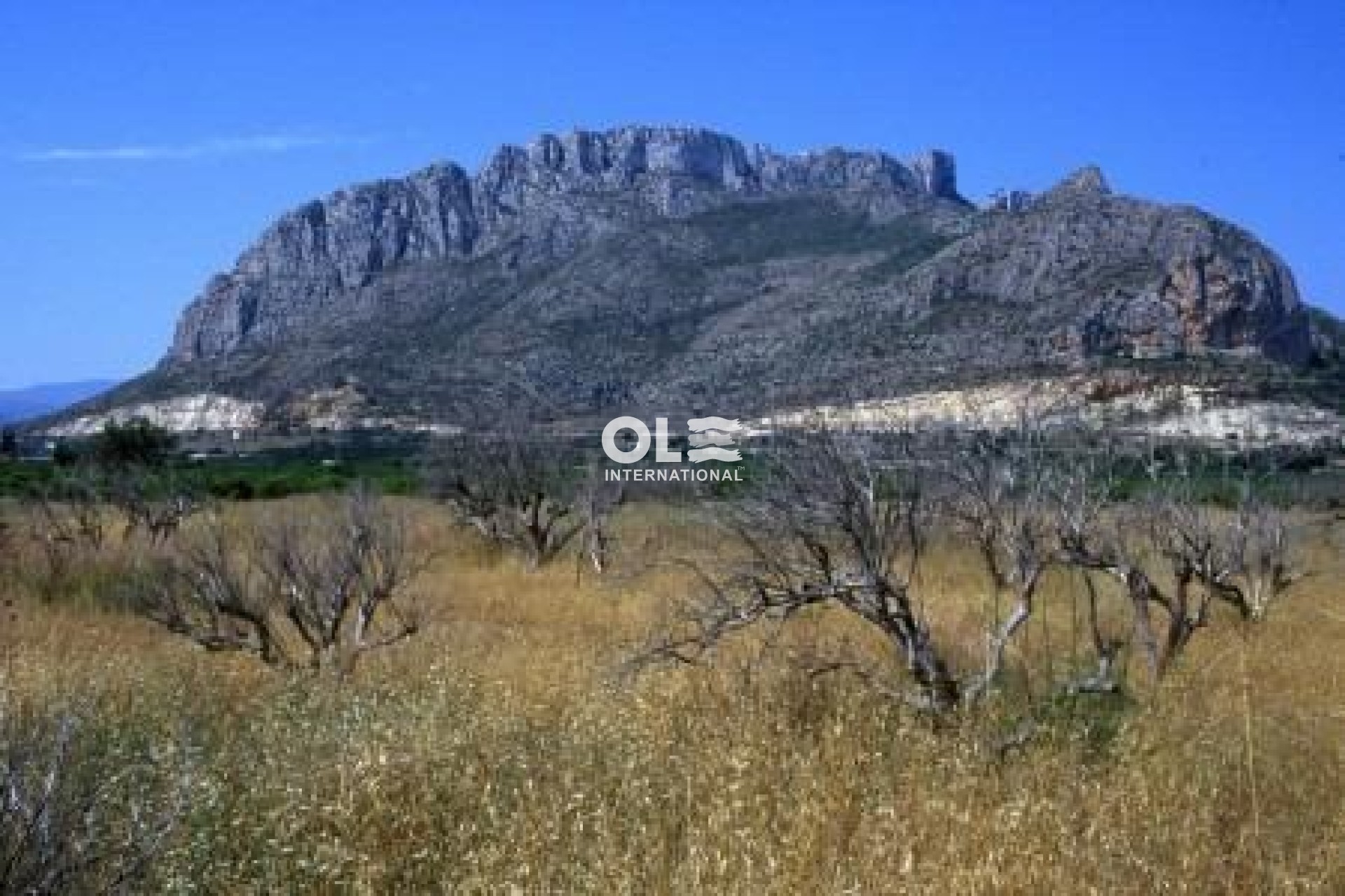 Obra nueva - Apartment - Denia - El Verger