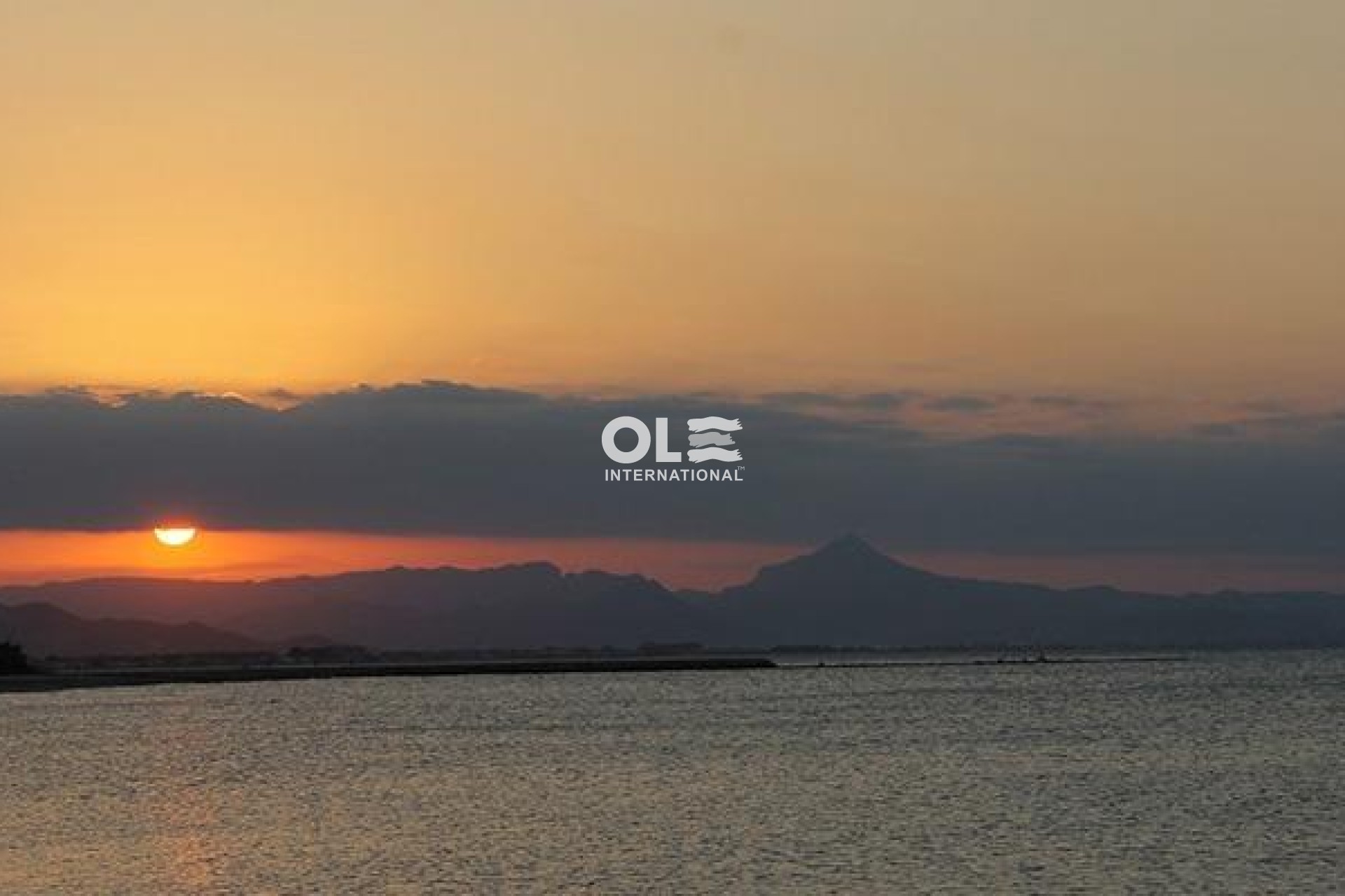Obra nueva - Apartment - Denia - El Verger