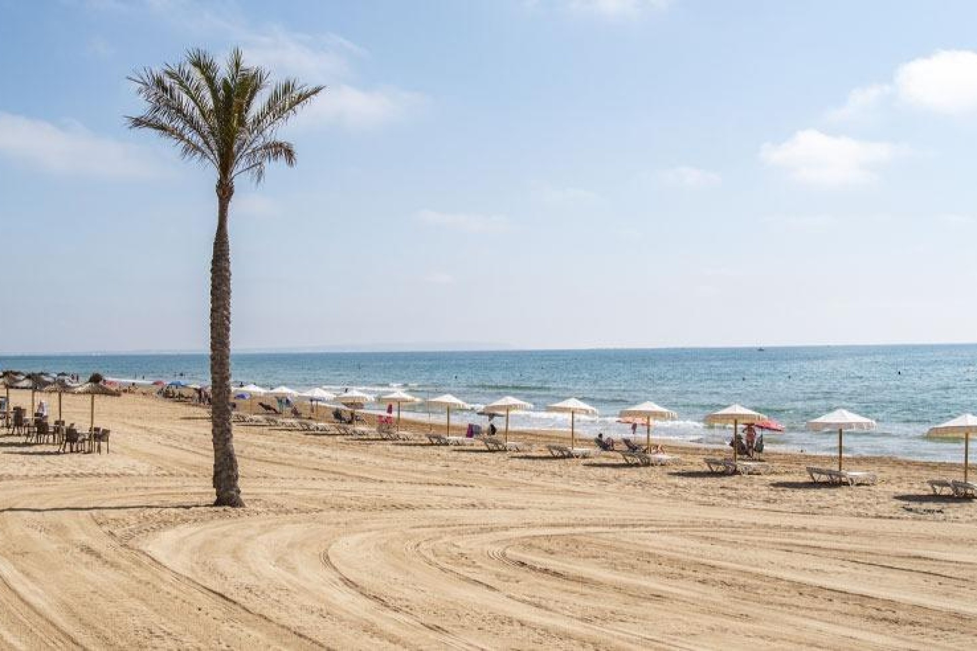 Obra nueva - Apartment - Guardamar del Segura - Pueblo