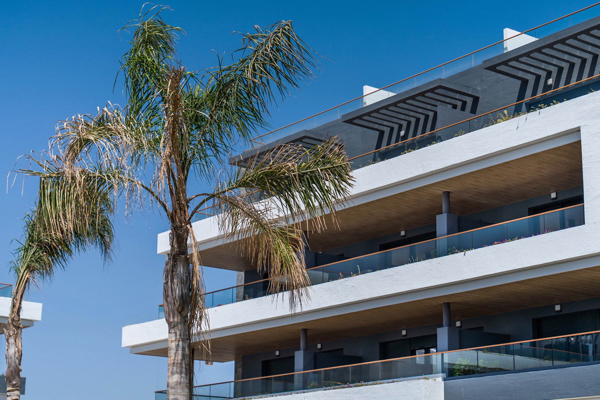 Obra nueva - Apartment - Torrevieja - Spain