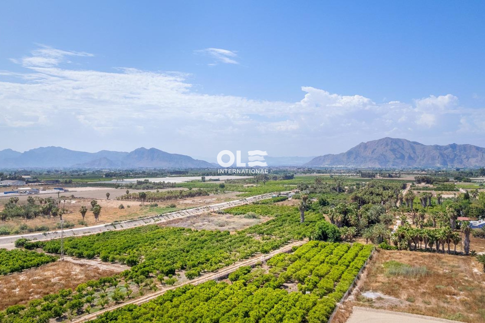 Obra nueva - Ático - Jacarilla - pueblo