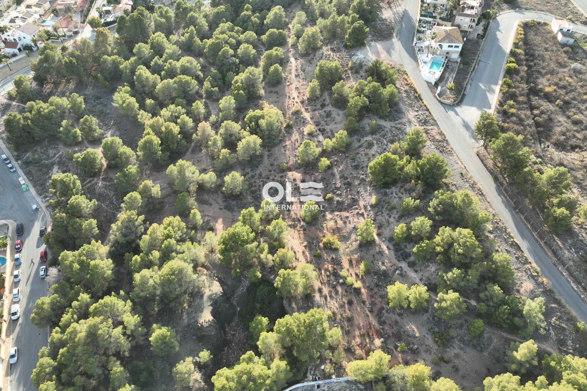 Obra nueva - Villa - Alfas del Pí - Escandinavia