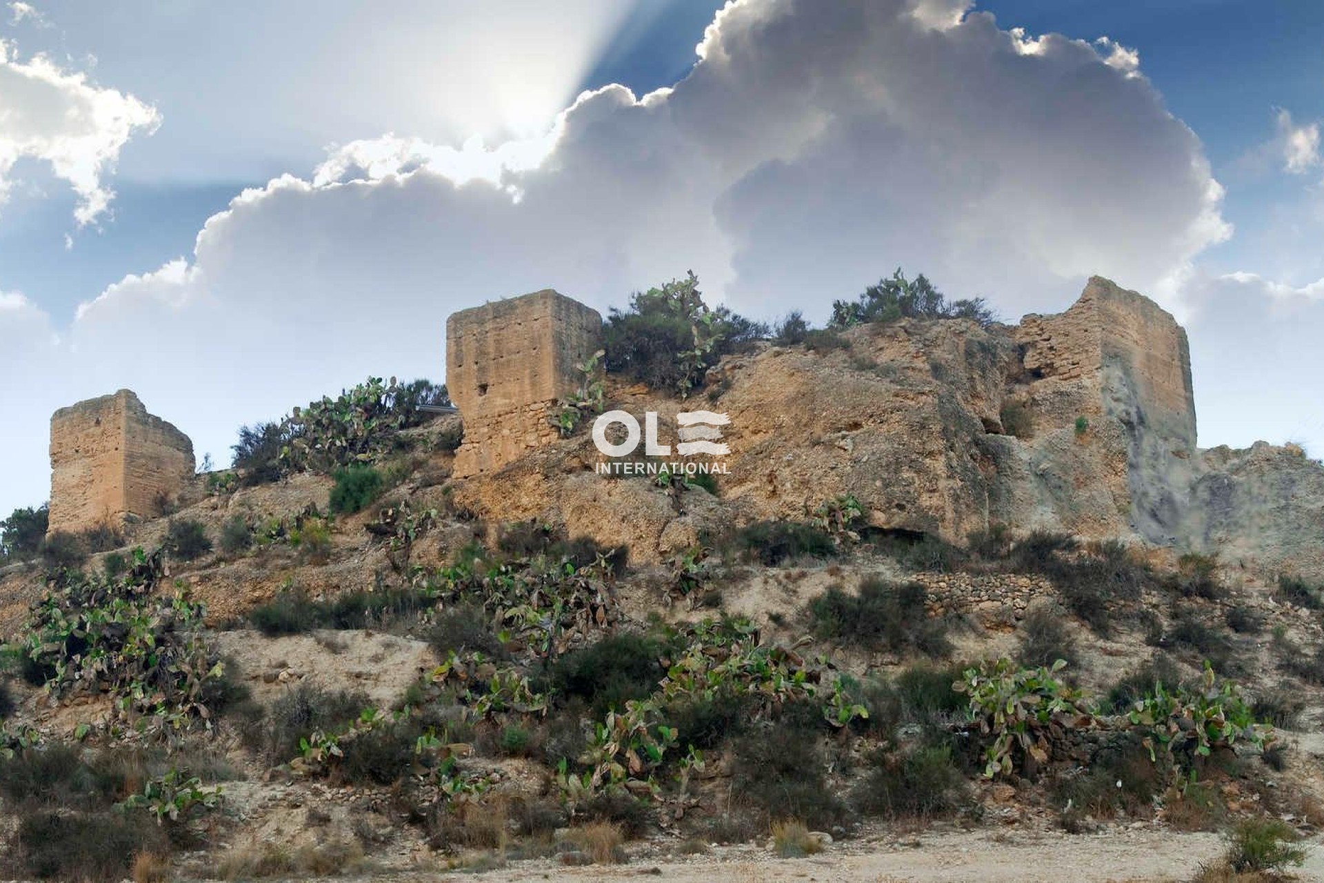 Obra nueva - Villa - Aspe - Centro