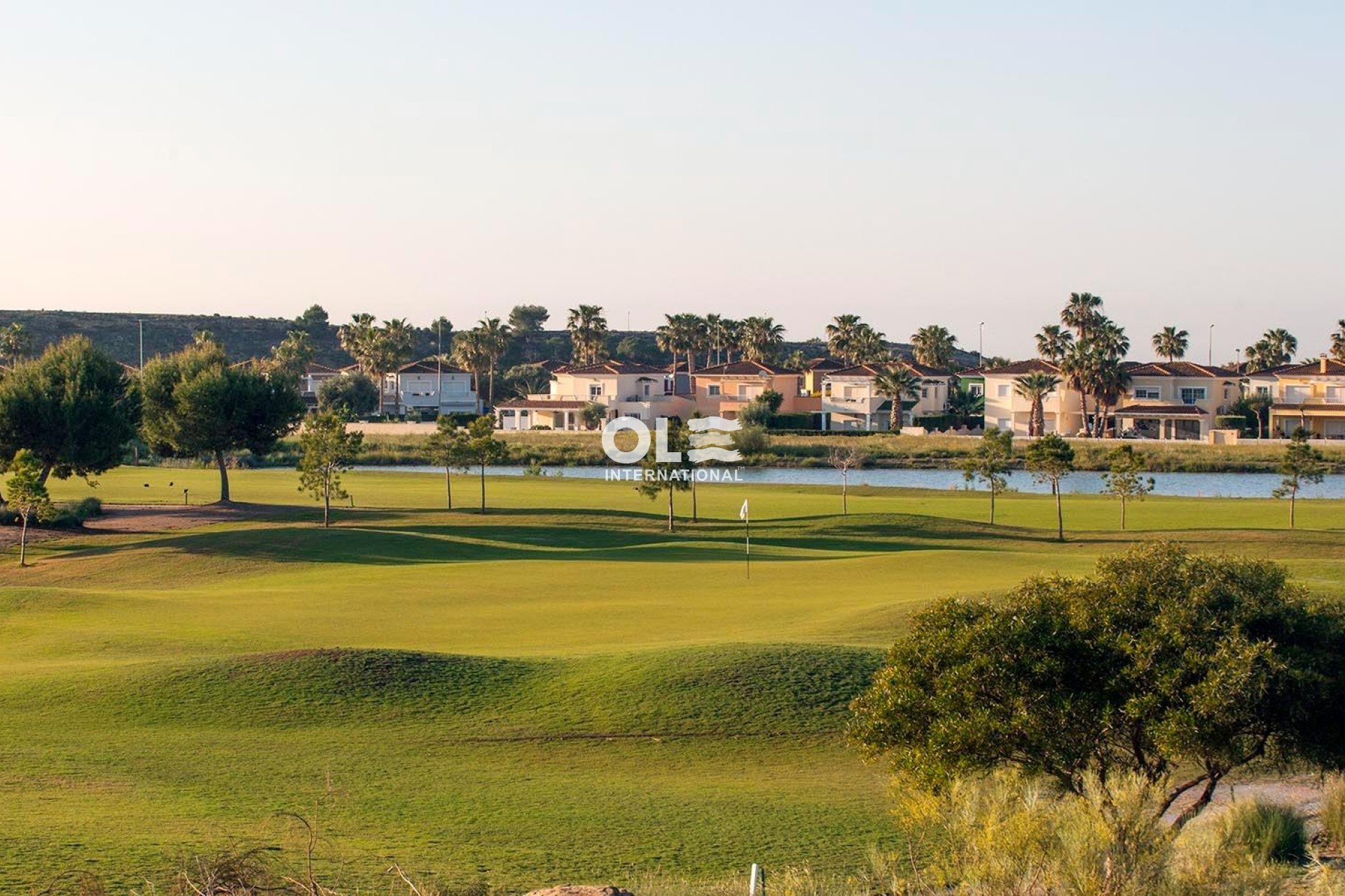 Obra nueva - Villa - Baños y Mendigo - Altaona Golf