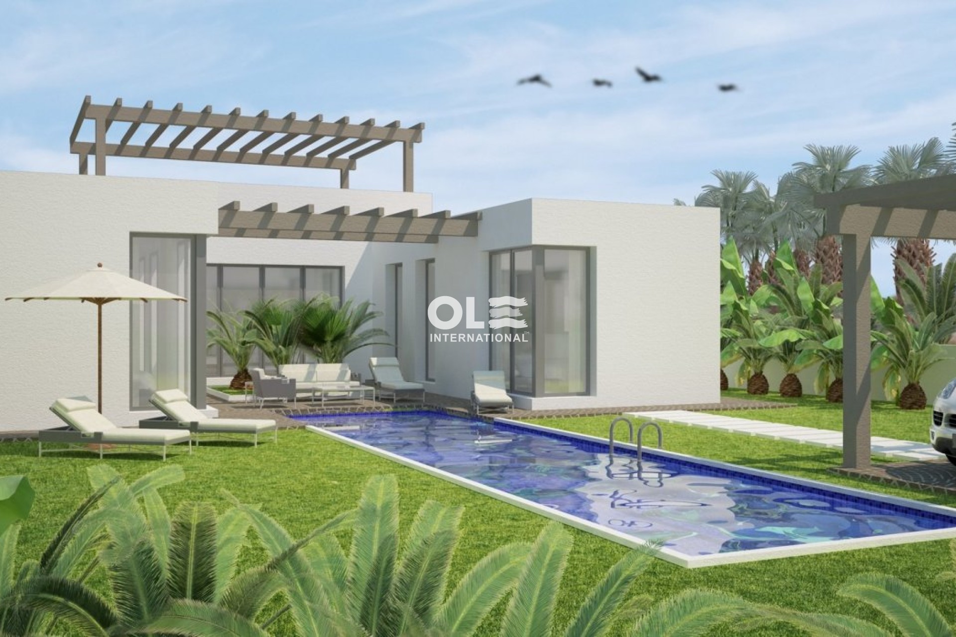 Obra nueva - Villa - Benijofar - Polideportivo