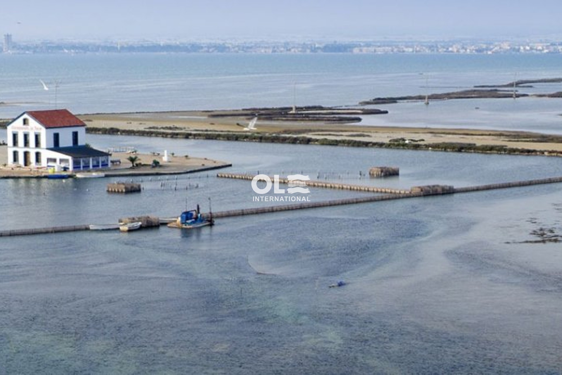 Obra nueva - Villa - San Pedro del Pinatar - El Salero