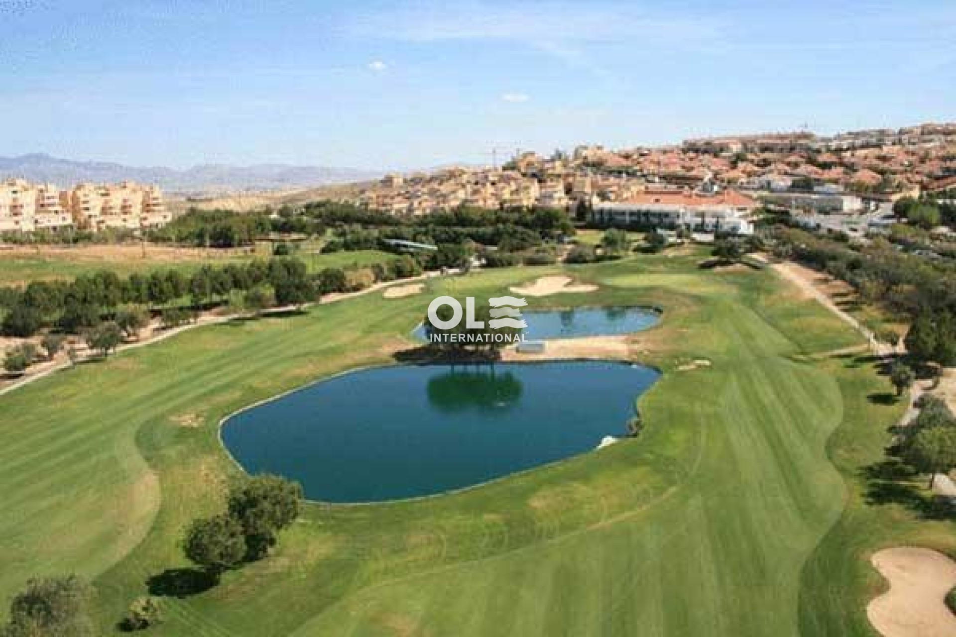 Obra nueva - Villa - Torre Pacheco - Roldán