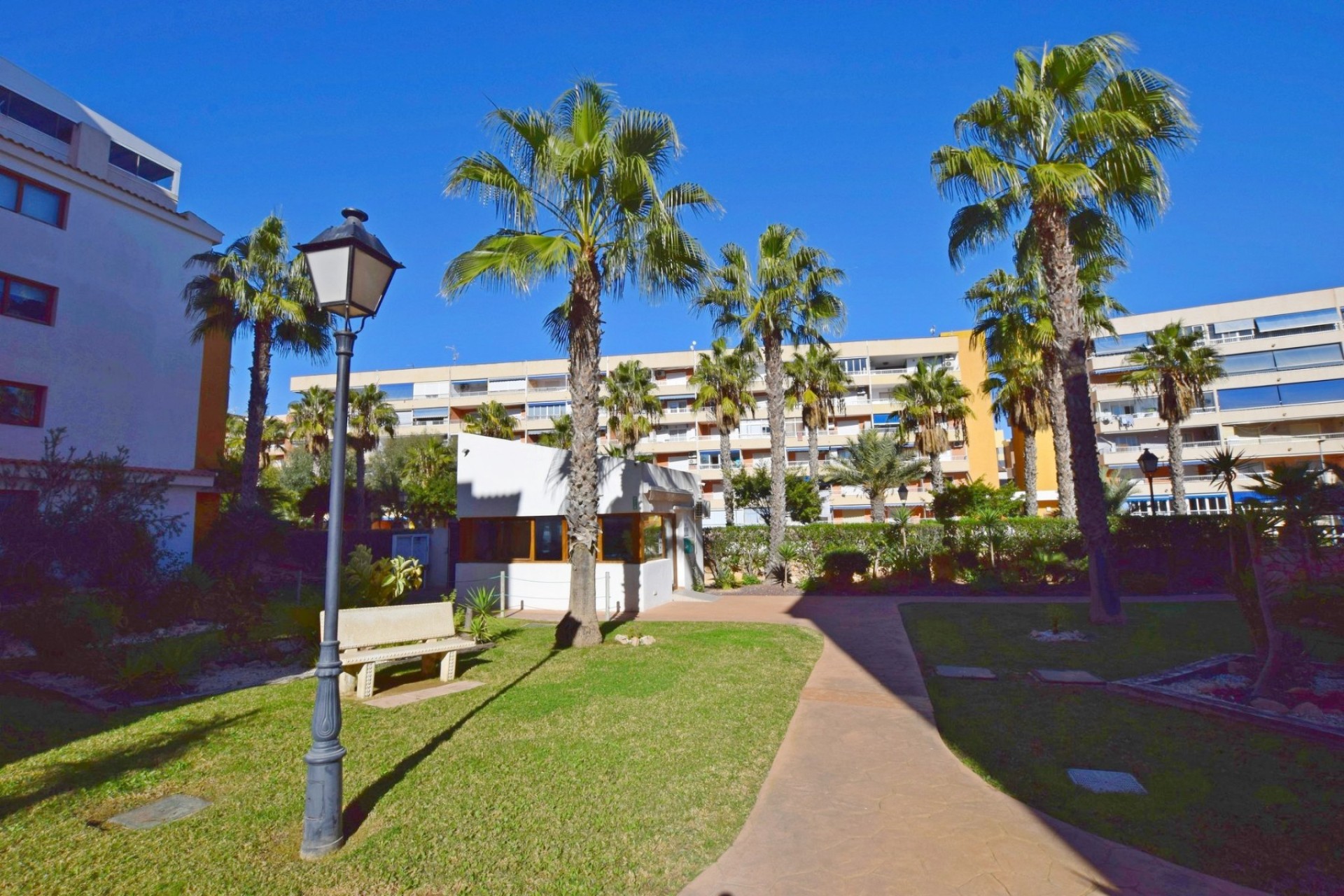 Odsprzedaż - Apartment - Punta Prima