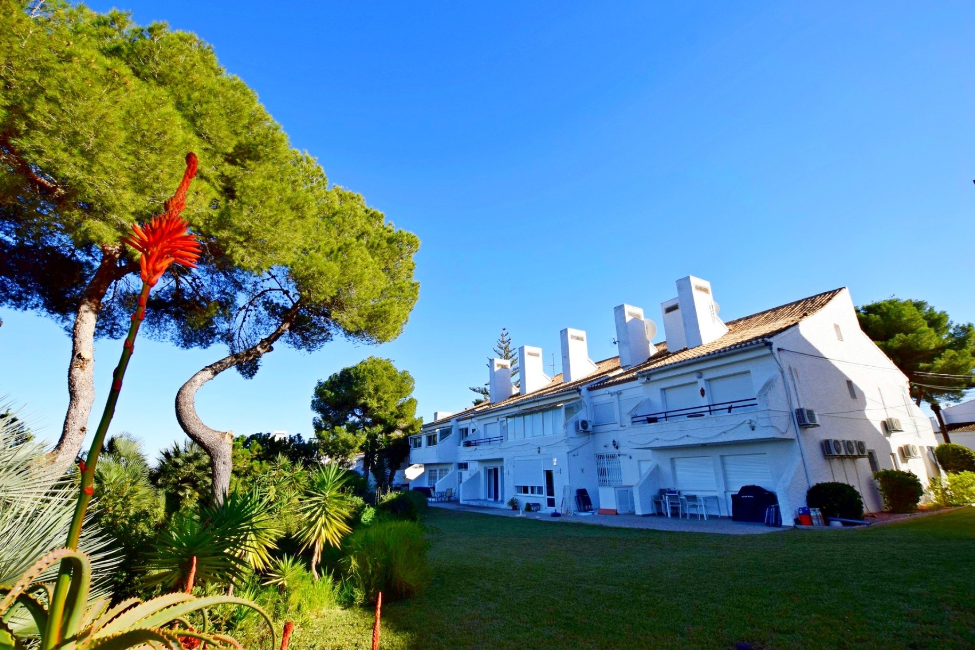 Odsprzedaż - Daszek - Orihuela Costa - Villamartín