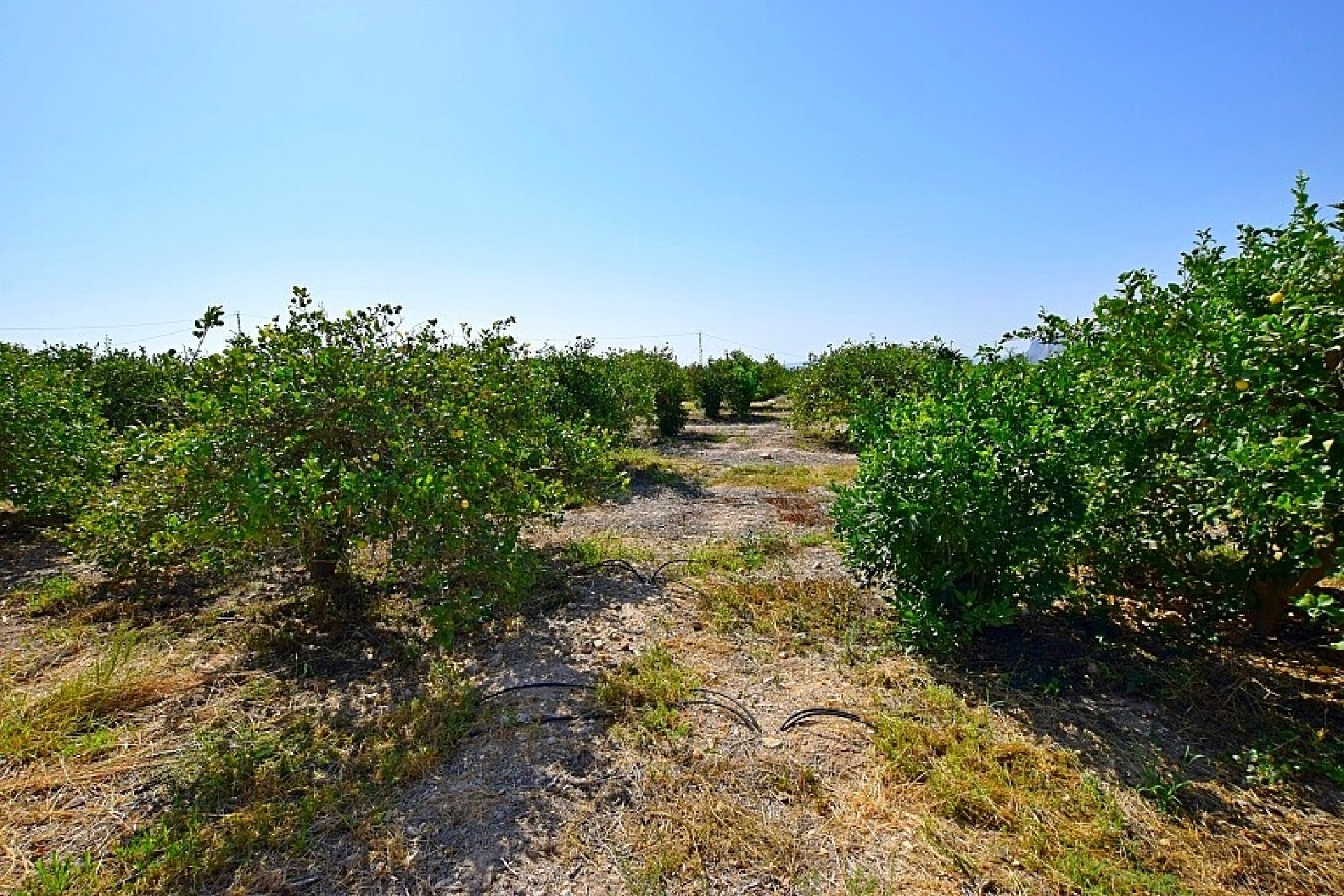 Odsprzedaż - Villa - Albatera