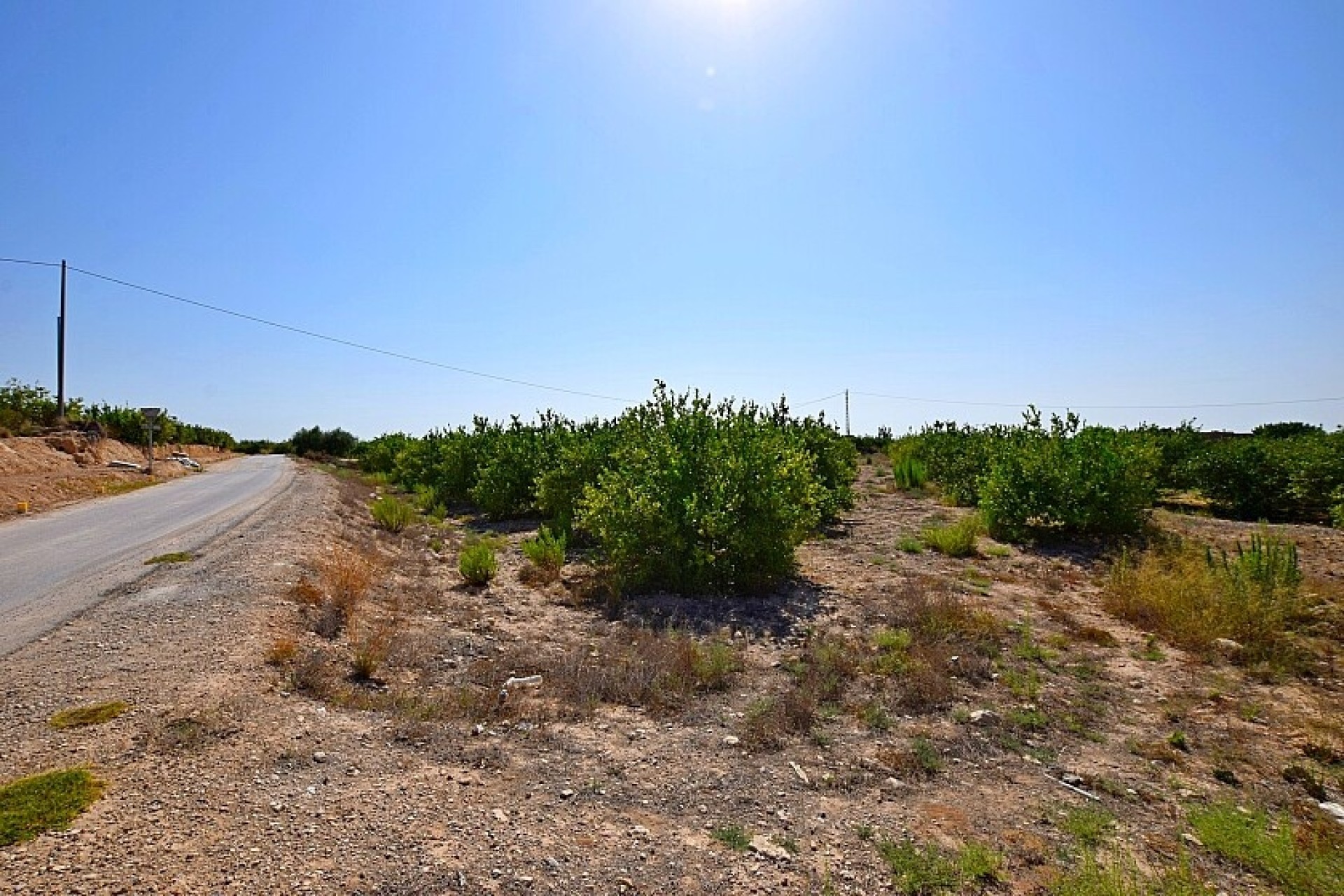 Odsprzedaż - Villa - Albatera