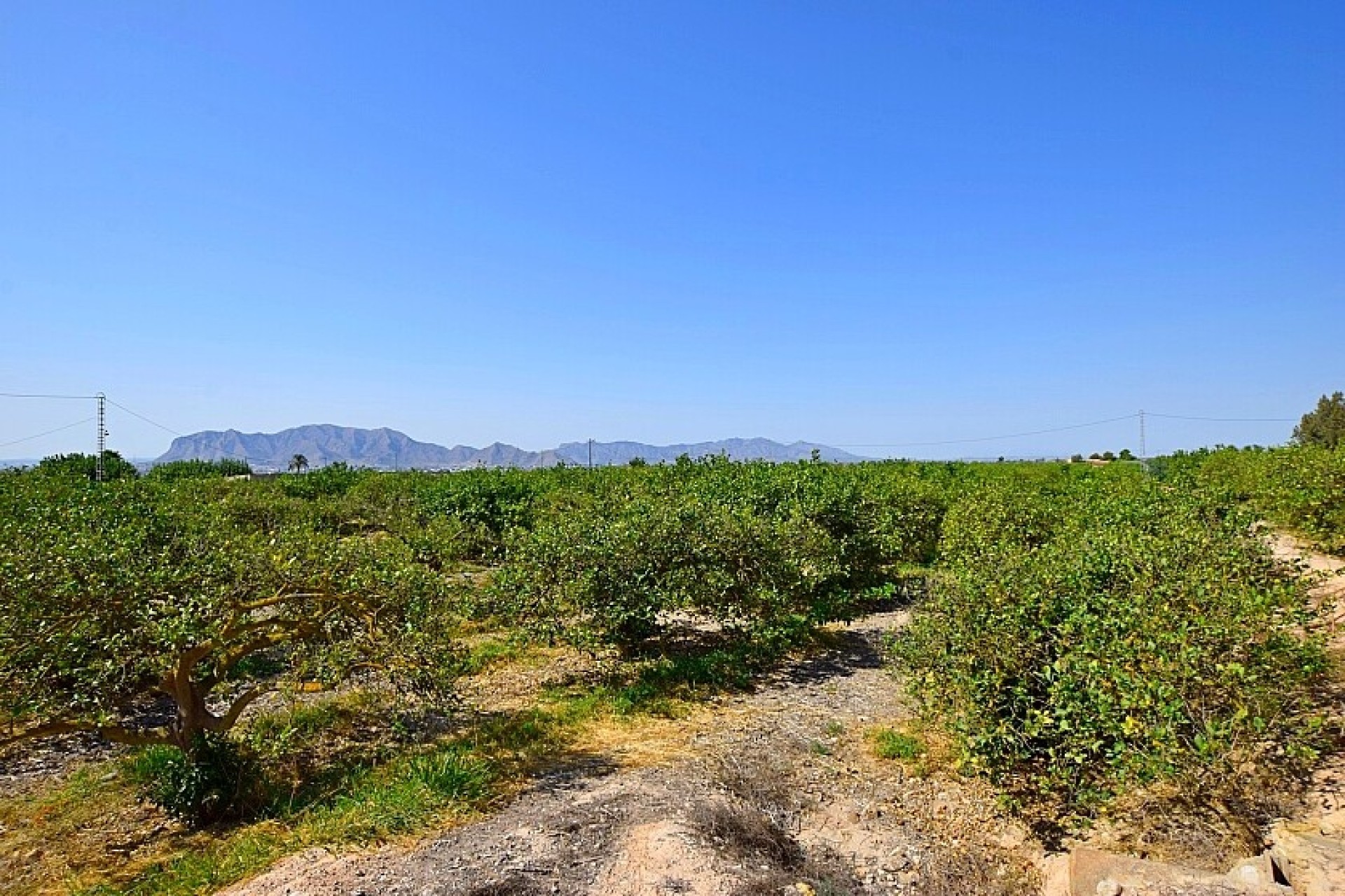 Odsprzedaż - Villa - Albatera