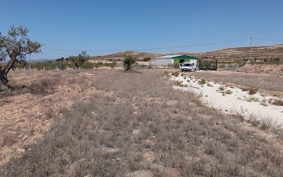 Parcela / Terreno - Reventa - Jumilla - RP135585