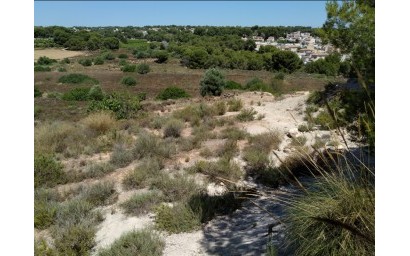 Perceel / Grond - Herverkoop - Pinar de Campoverde - Pinar de Campoverde