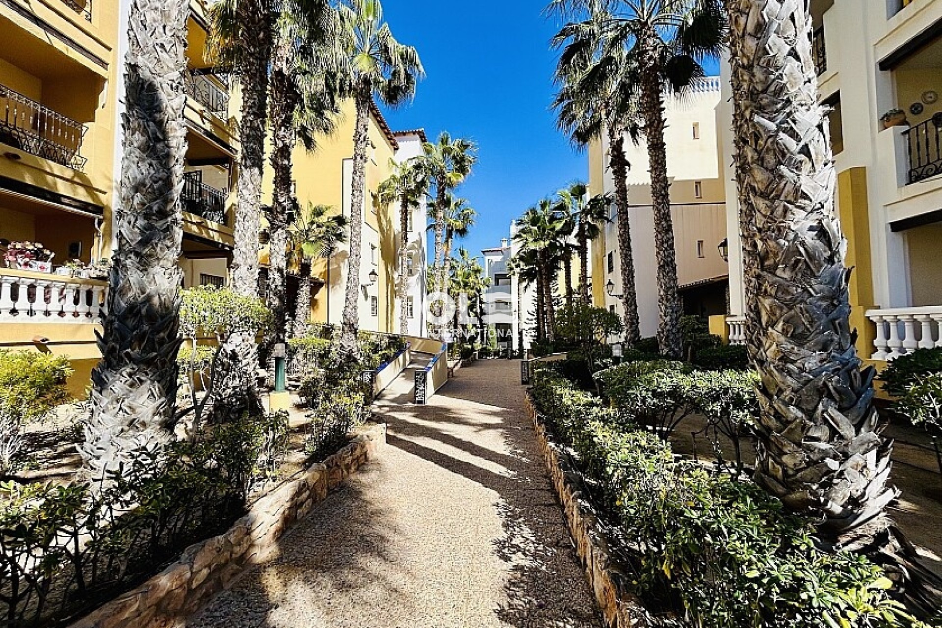 Перепродажа - Apartment - Torrevieja - Playa de los Locos