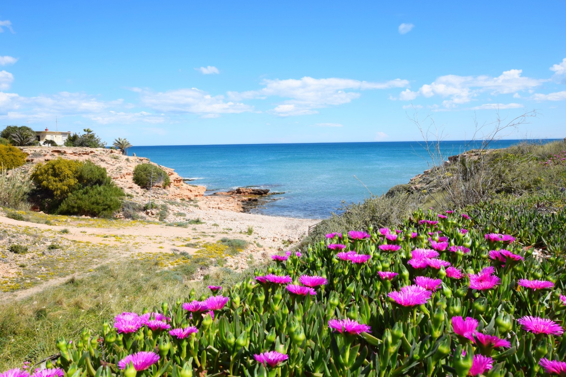 Перепродажа - Apartment - Torrevieja - Torrelamata