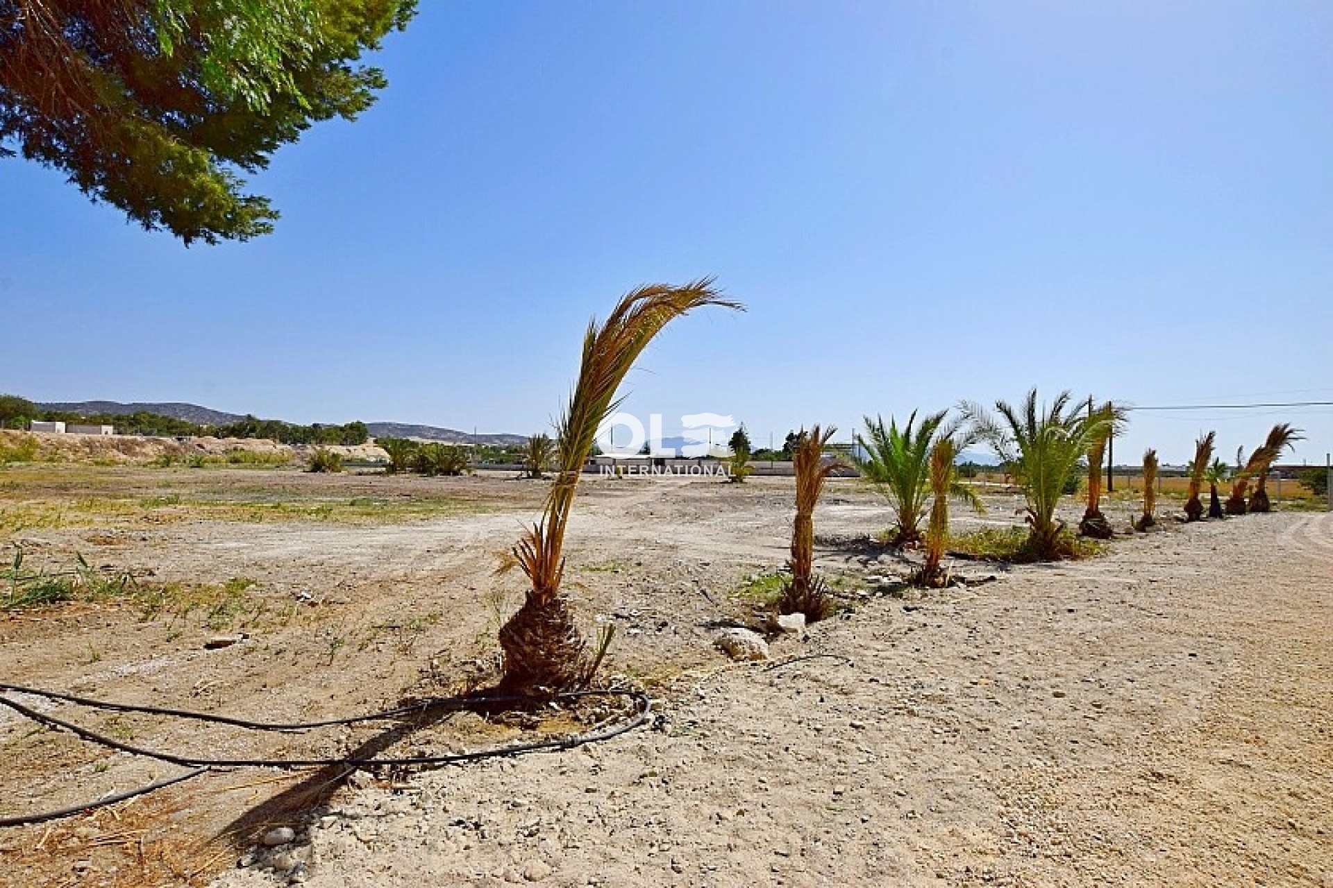 Перепродажа - Villa - Orihuela Costa - Orihuela
