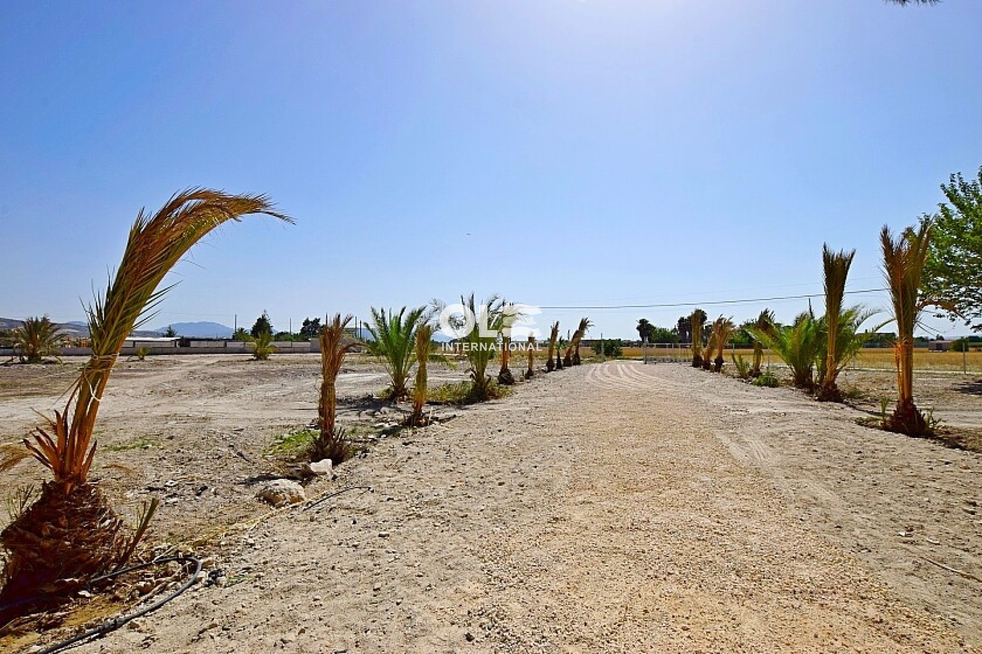 Перепродажа - Villa - Orihuela Costa - Orihuela