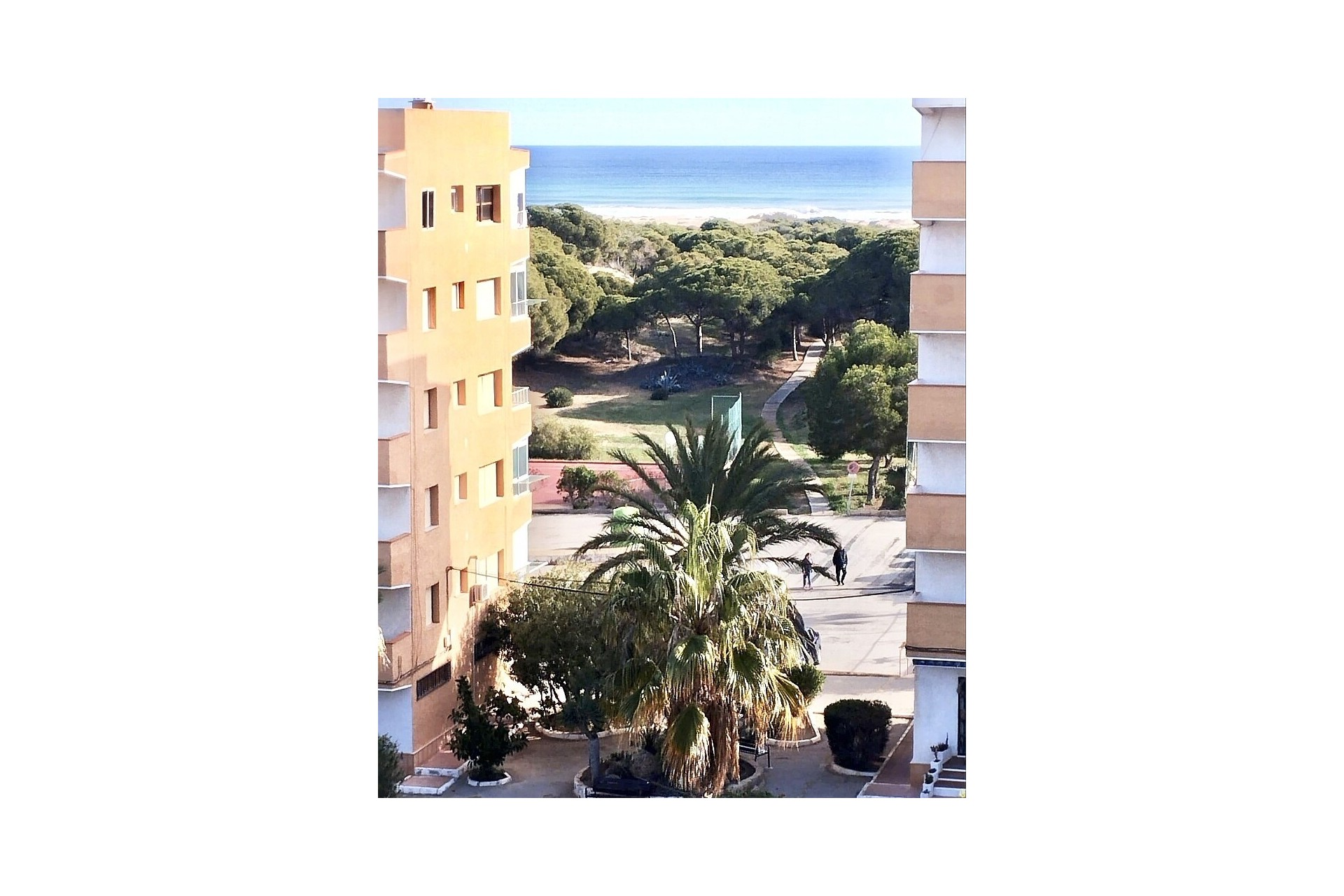 Resale - Apartment - Guardamar del Segura