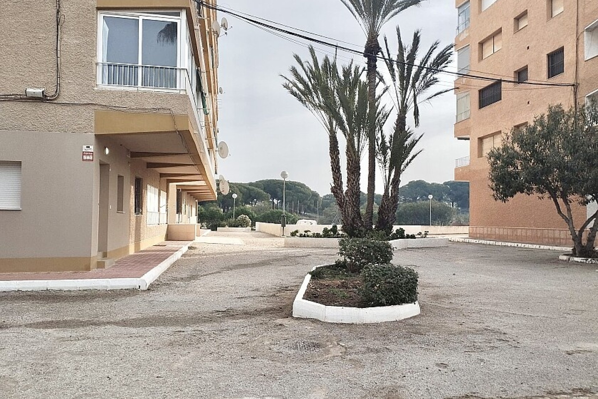 Resale - Apartment - Guardamar del Segura