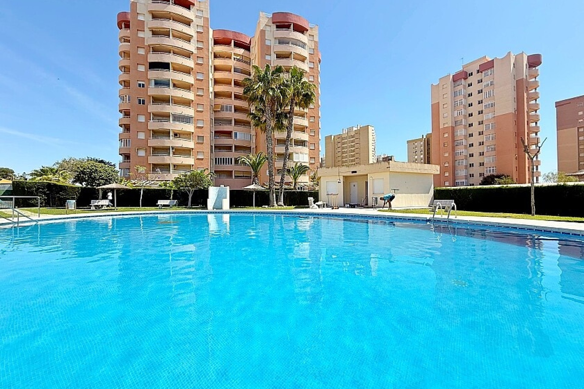 Resale - Apartment - Orihuela Costa - Dehesa de campoamor