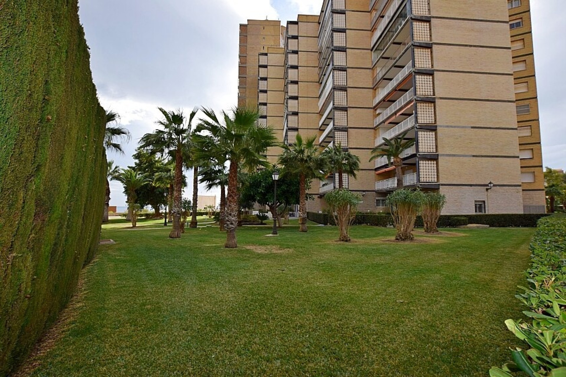 Resale - Apartment - Orihuela Costa - Dehesa de campoamor