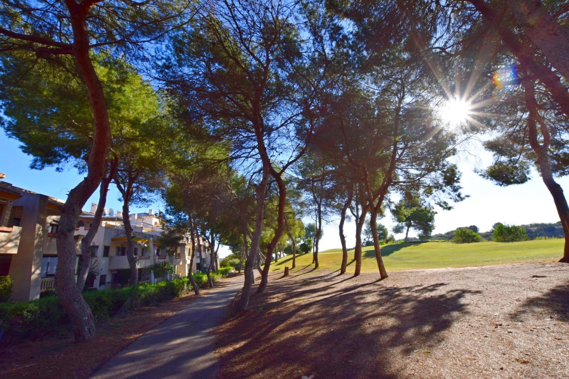 Resale - Apartment - Orihuela Costa - Las Ramblas Golf