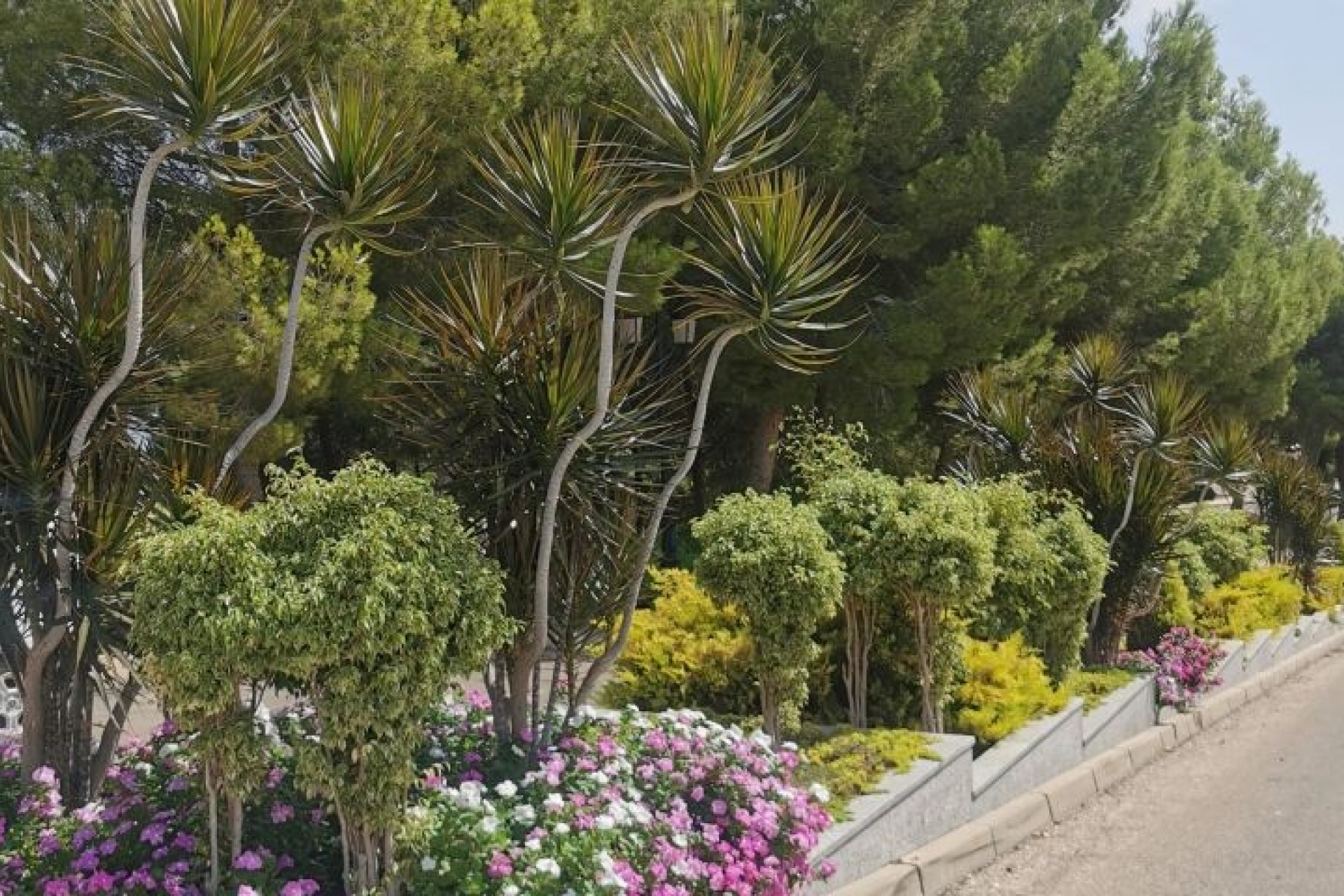 Resale - Apartment - Orihuela Costa