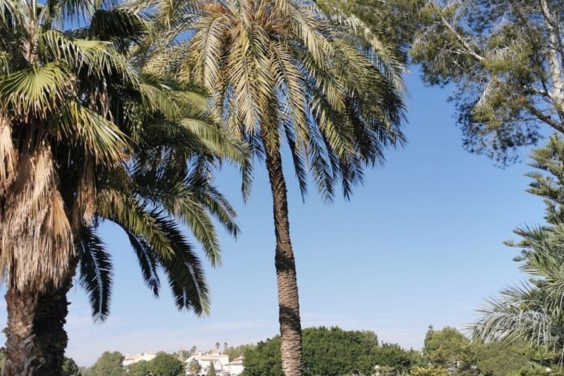 Resale - Apartment - Orihuela Costa