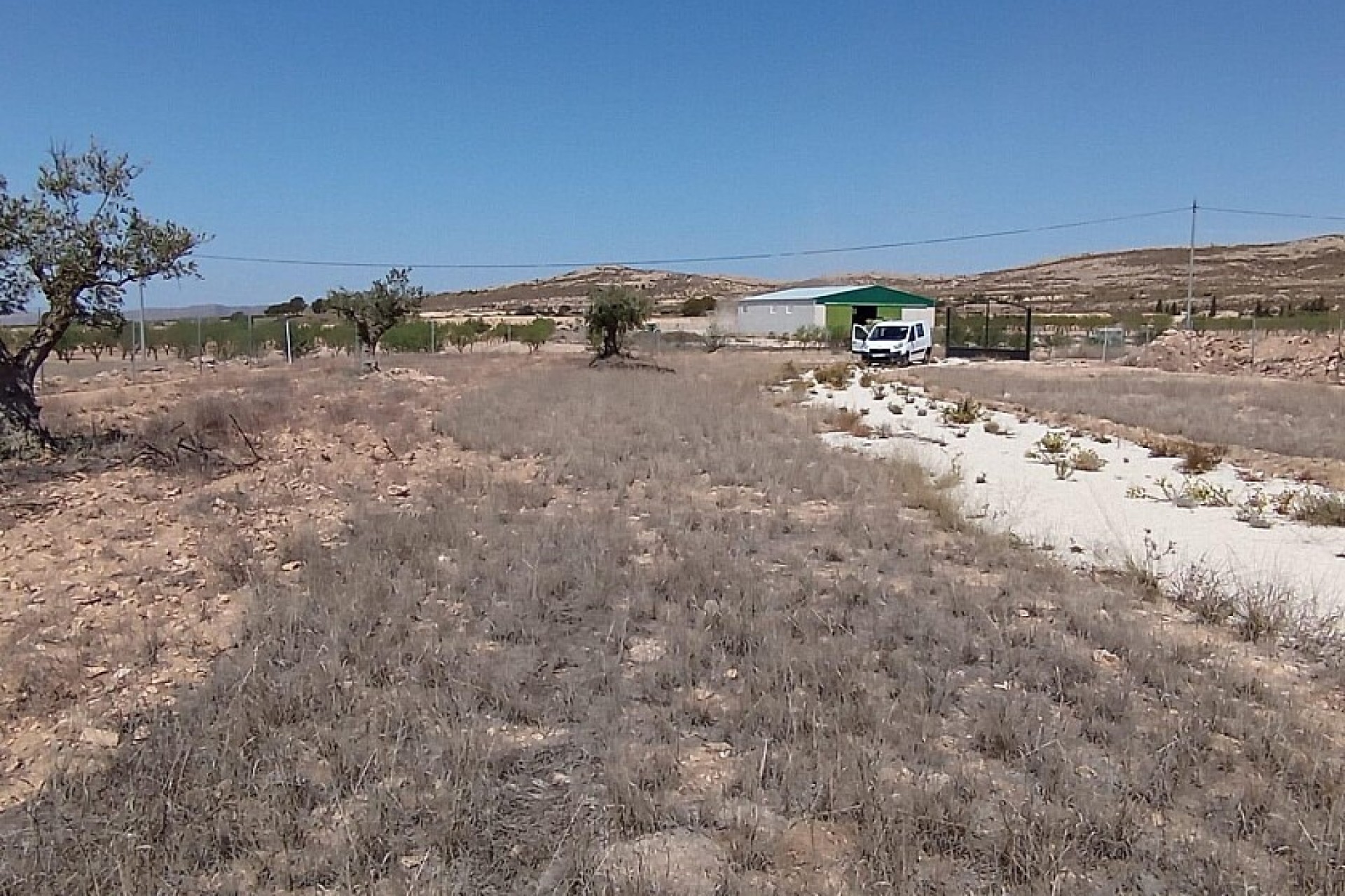 Resale - Land - Jumilla - Torre del Rico