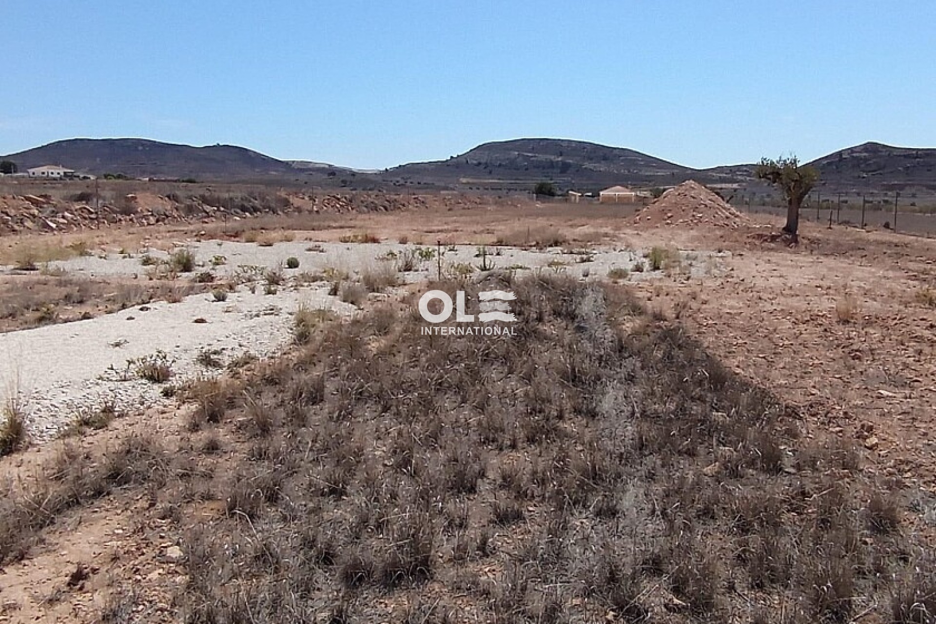 Resale - Plot / Land - Jumilla - Torre del Rico
