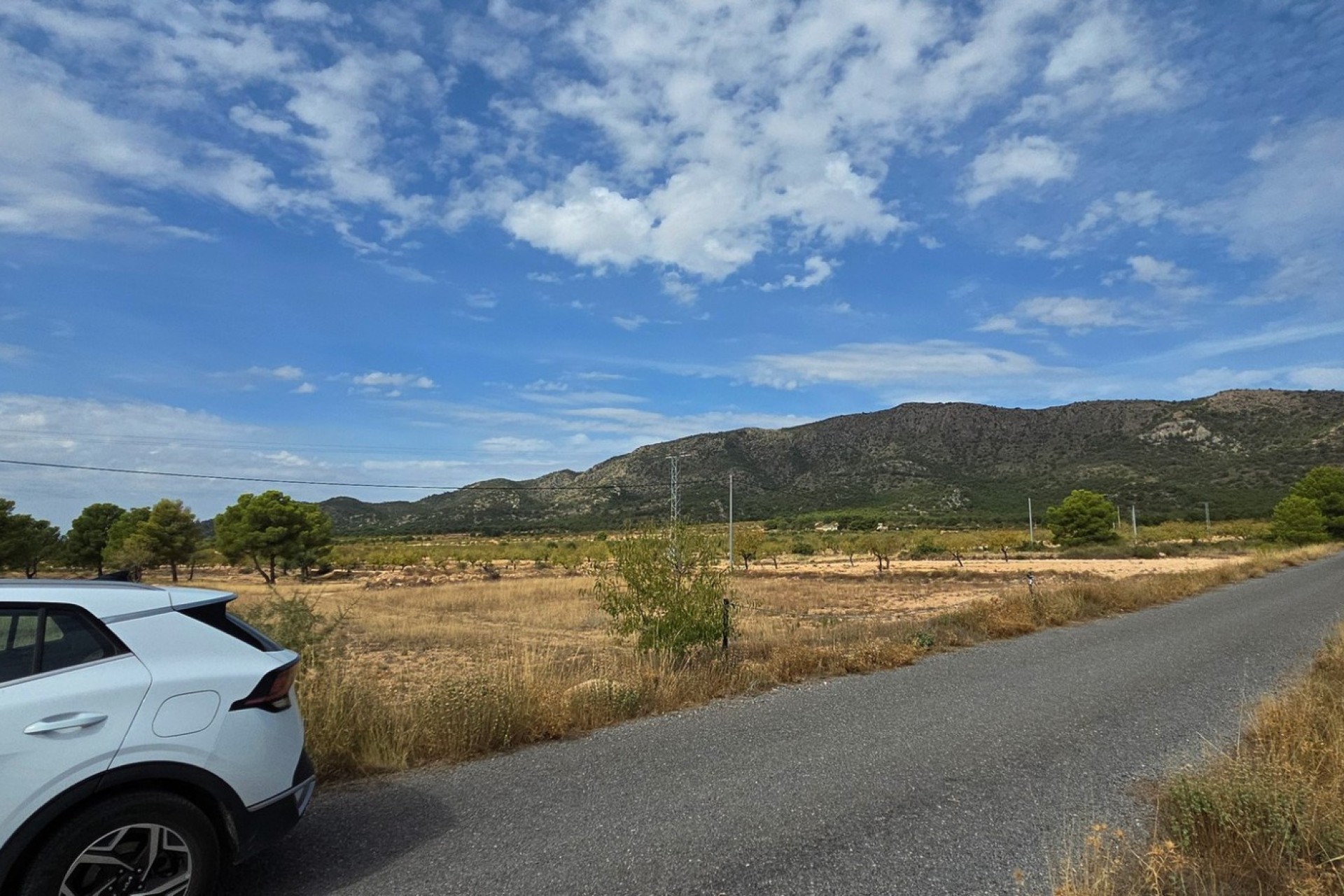 Resale - Plot / Land - Pinoso