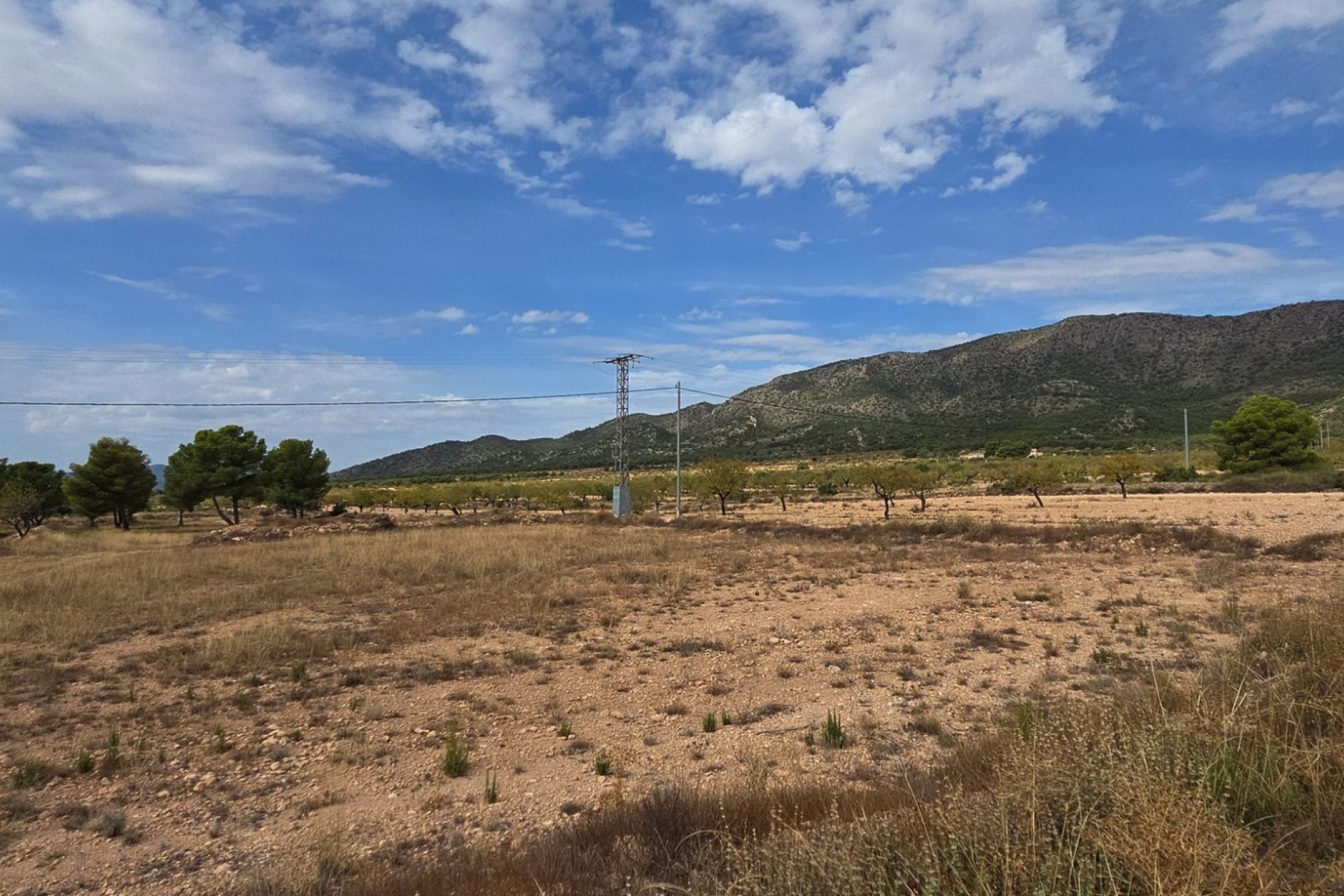 Resale - Plot / Land - Pinoso