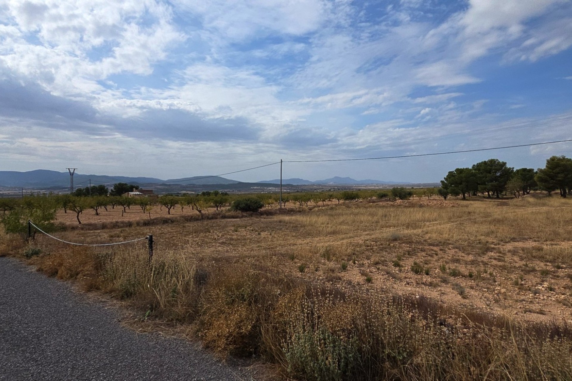 Resale - Plot / Land - Pinoso
