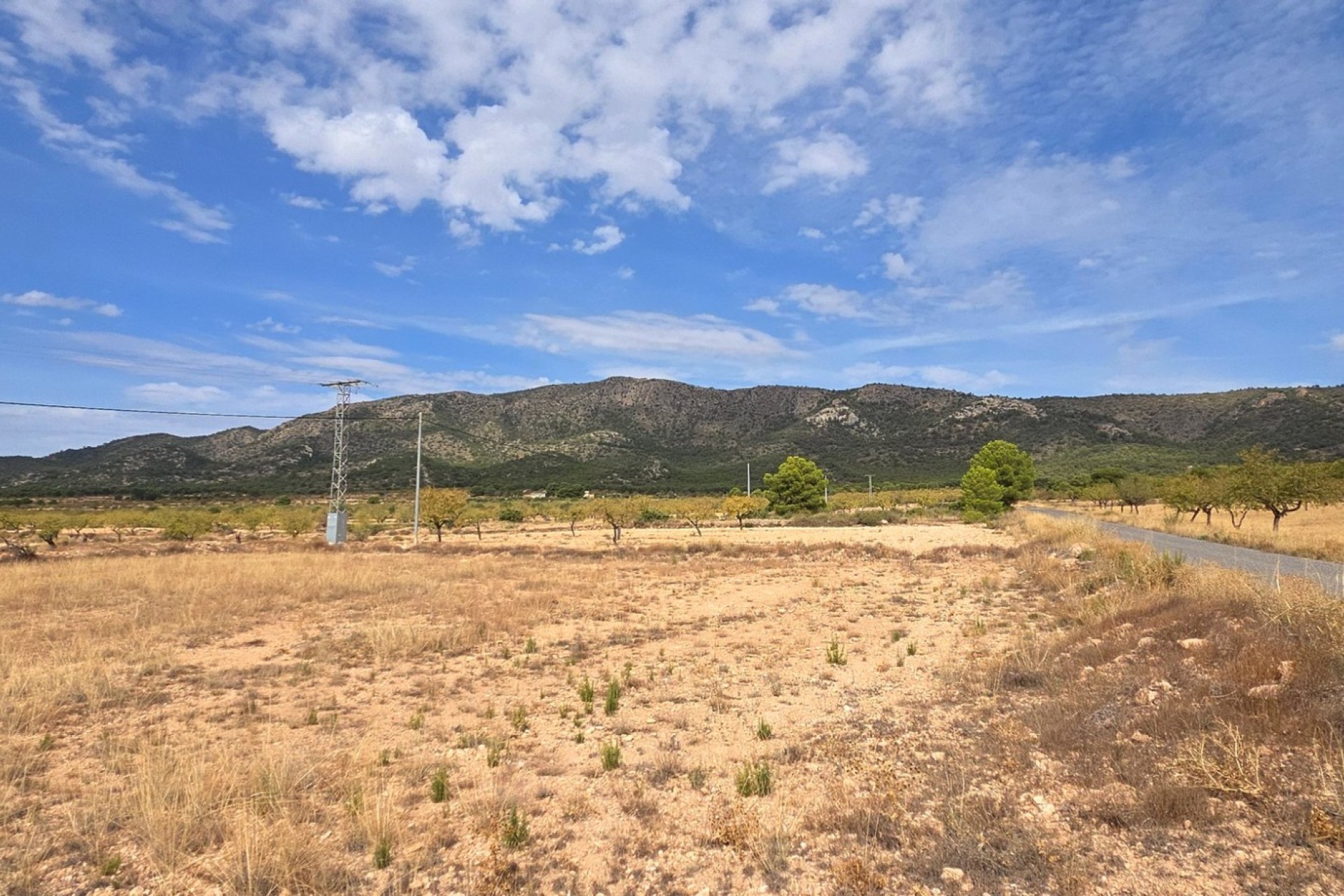 Resale - Plot / Land - Pinoso
