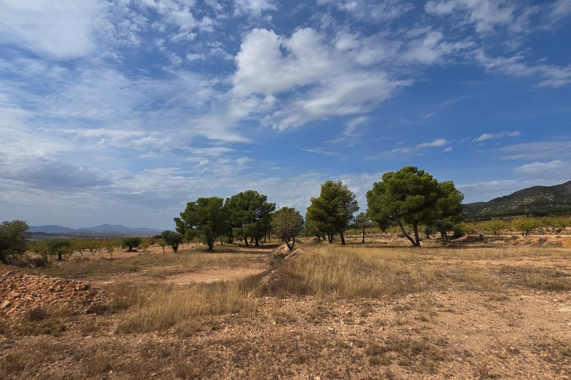 Resale - Plot / Land - Pinoso
