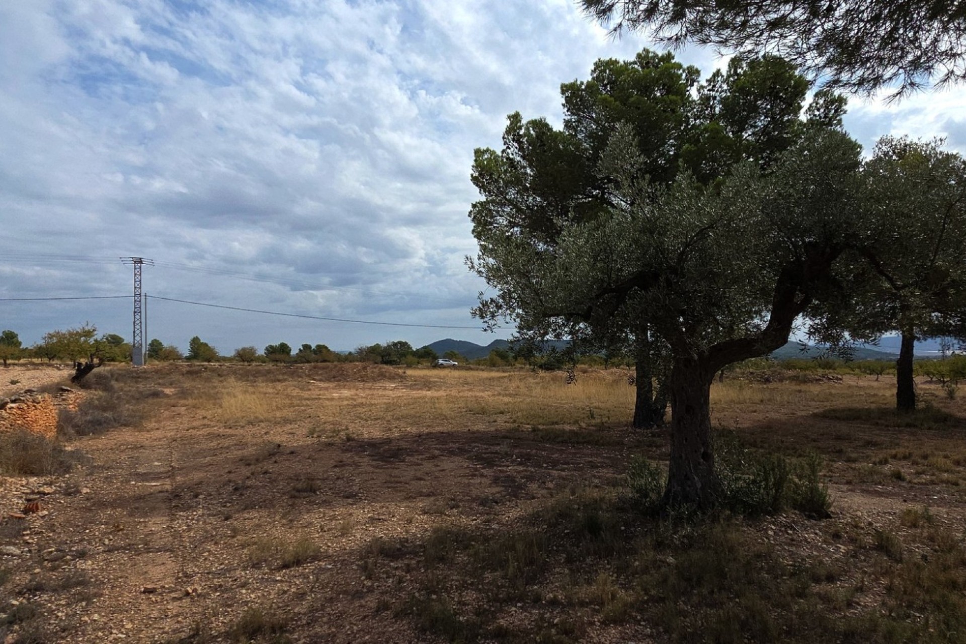 Resale - Plot / Land - Pinoso