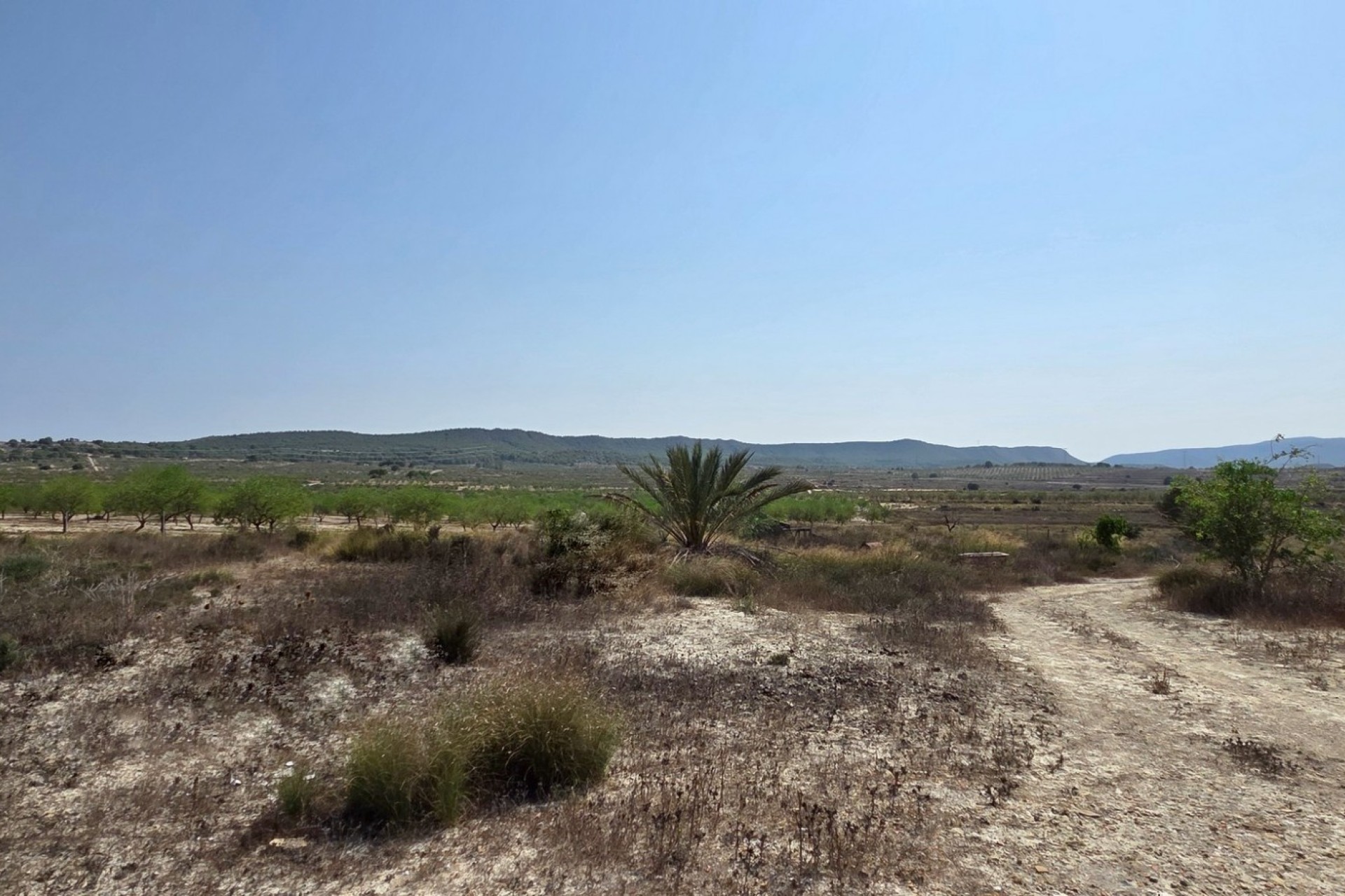 Resale - Plot / Land - San Miguel de Salinas
