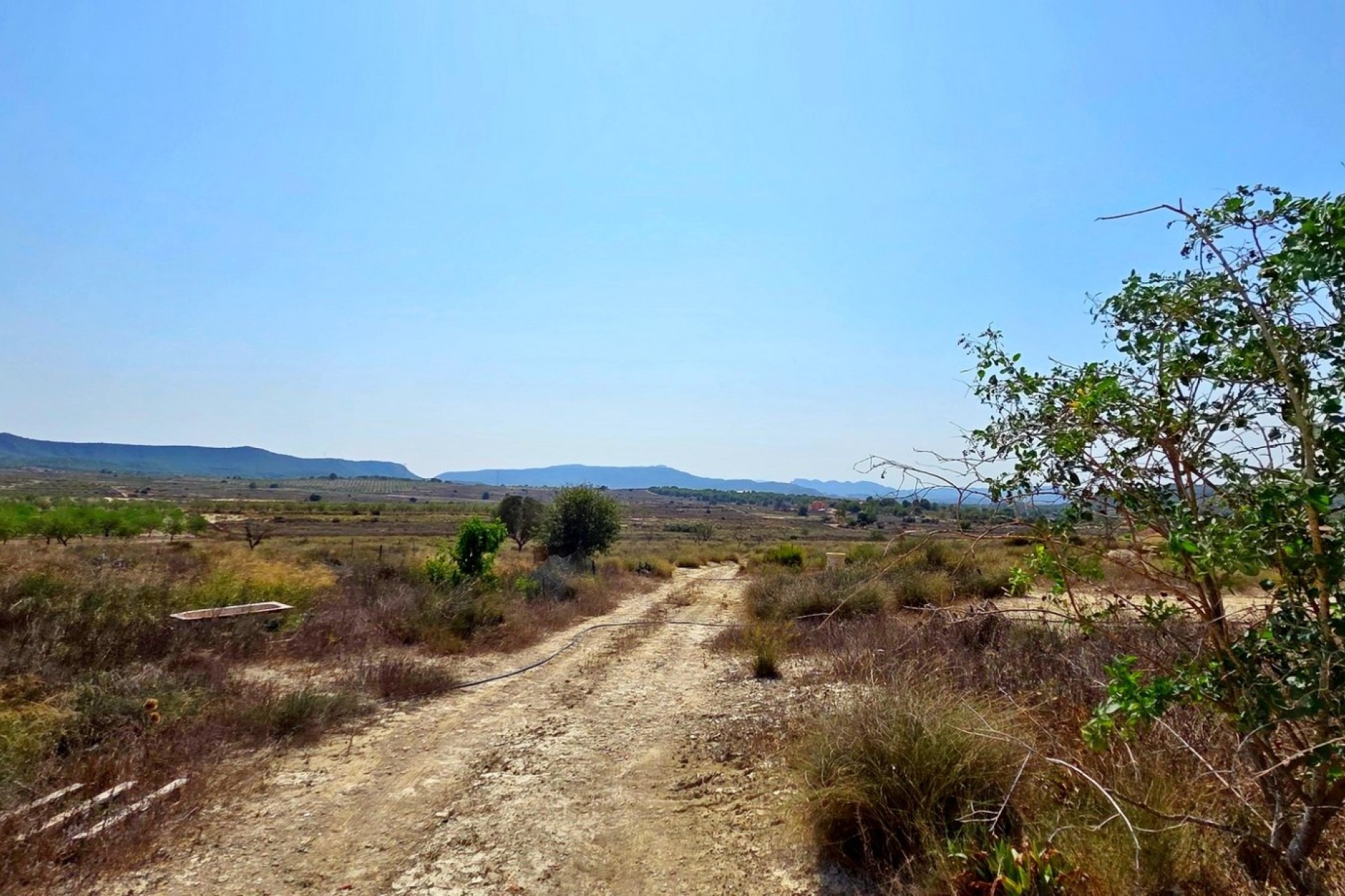 Resale - Plot / Land - San Miguel de Salinas