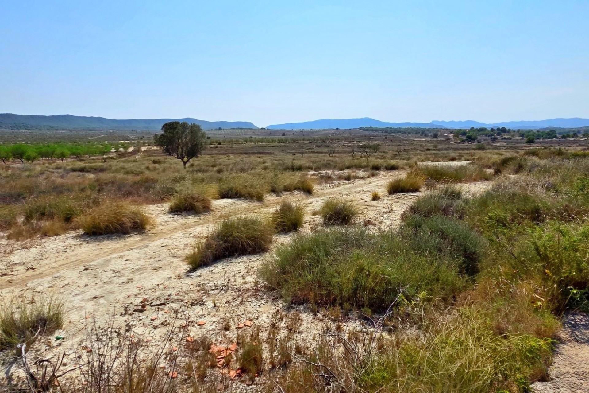 Resale - Plot / Land - San Miguel de Salinas