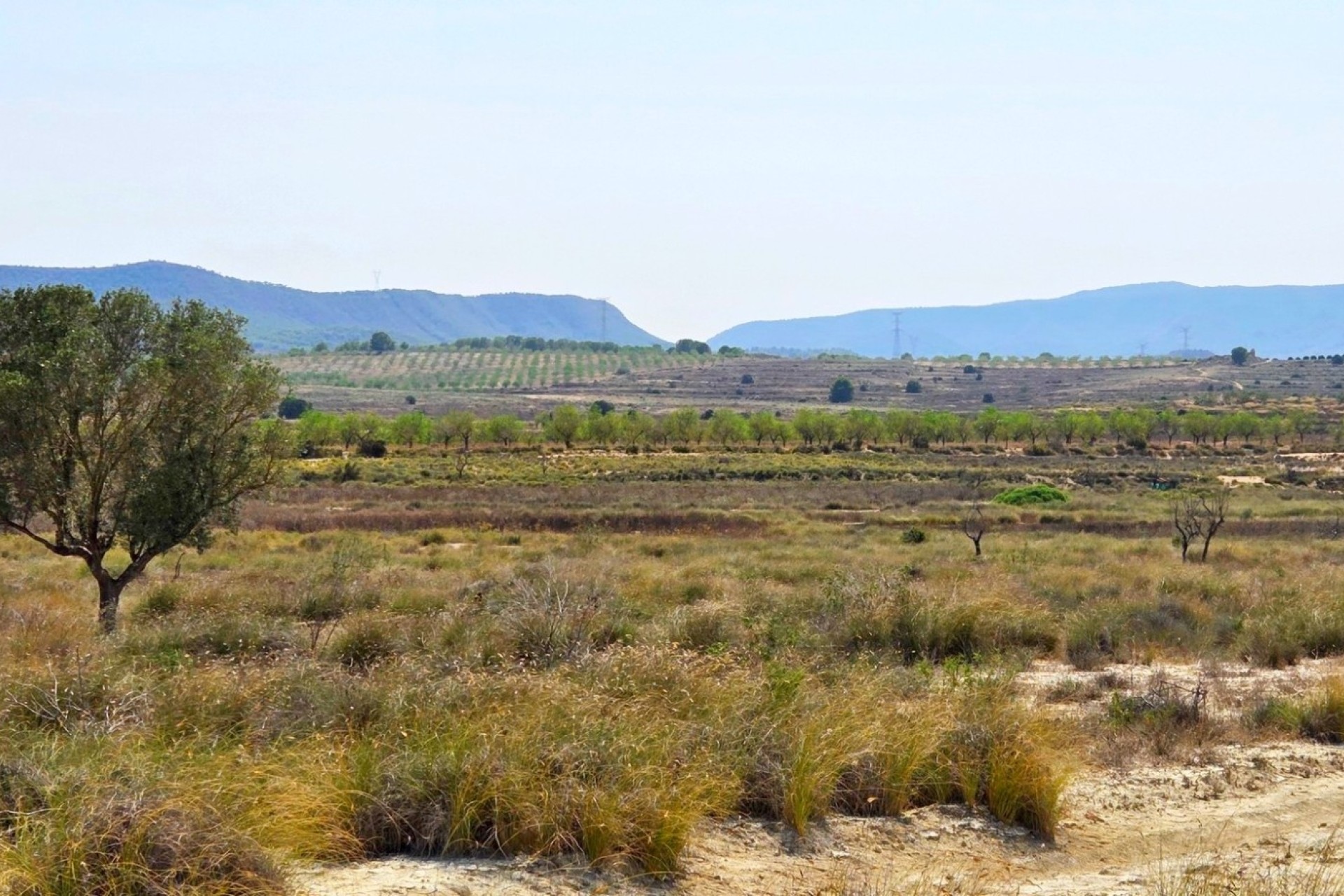 Resale - Plot / Land - San Miguel de Salinas