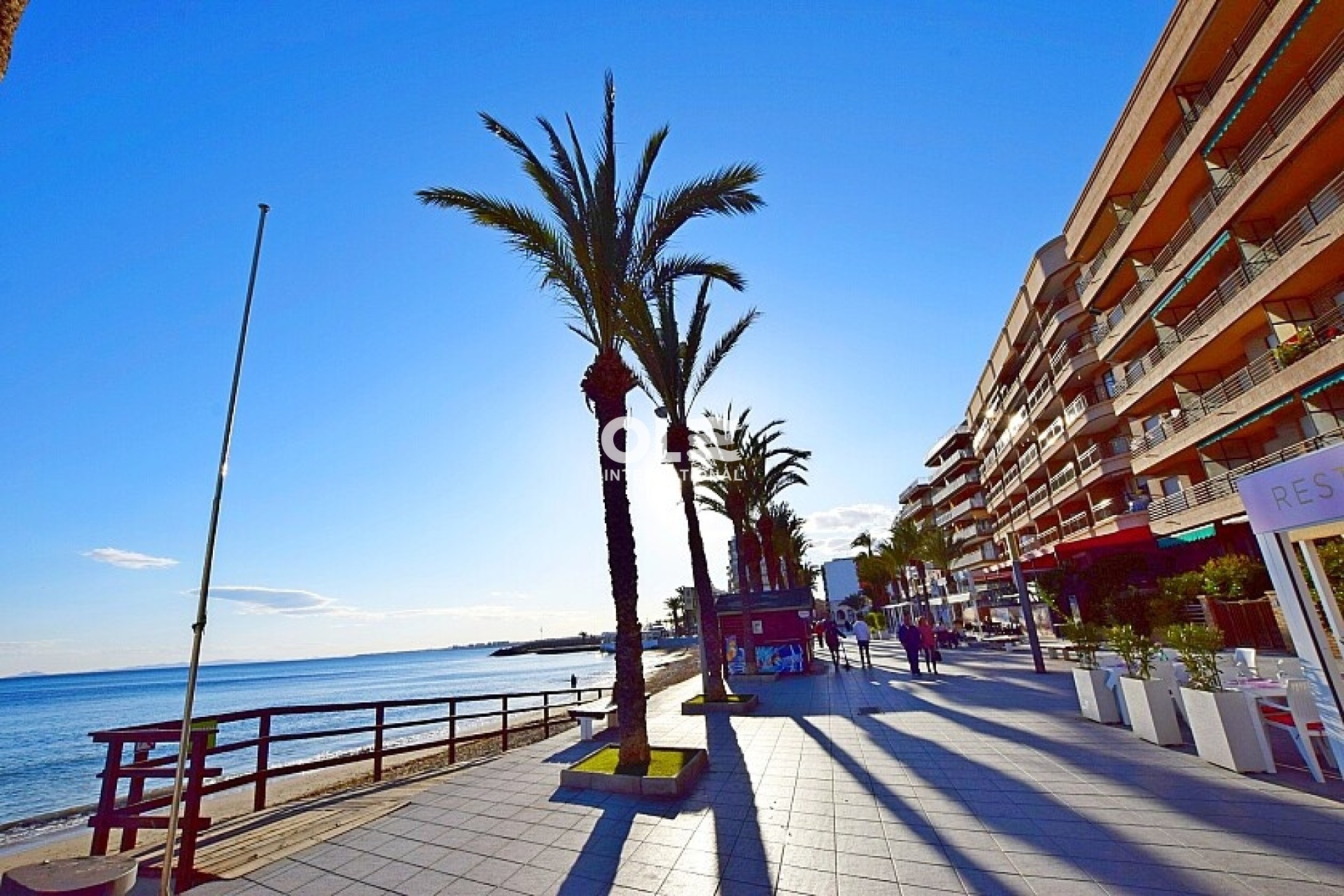 Resale - Plot / Land - Torrevieja - Paseo de Torrevieja
