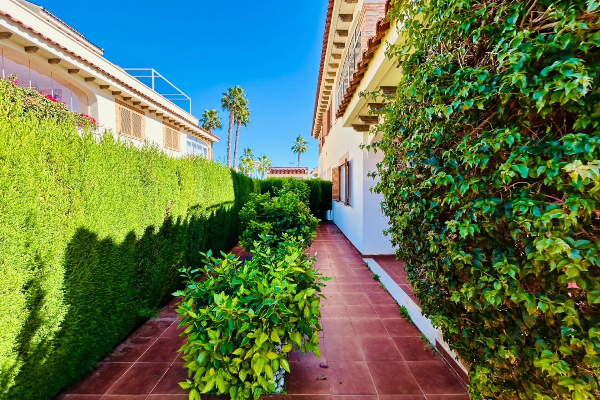 Resale - Townhouse - Orihuela Costa - La Zenia