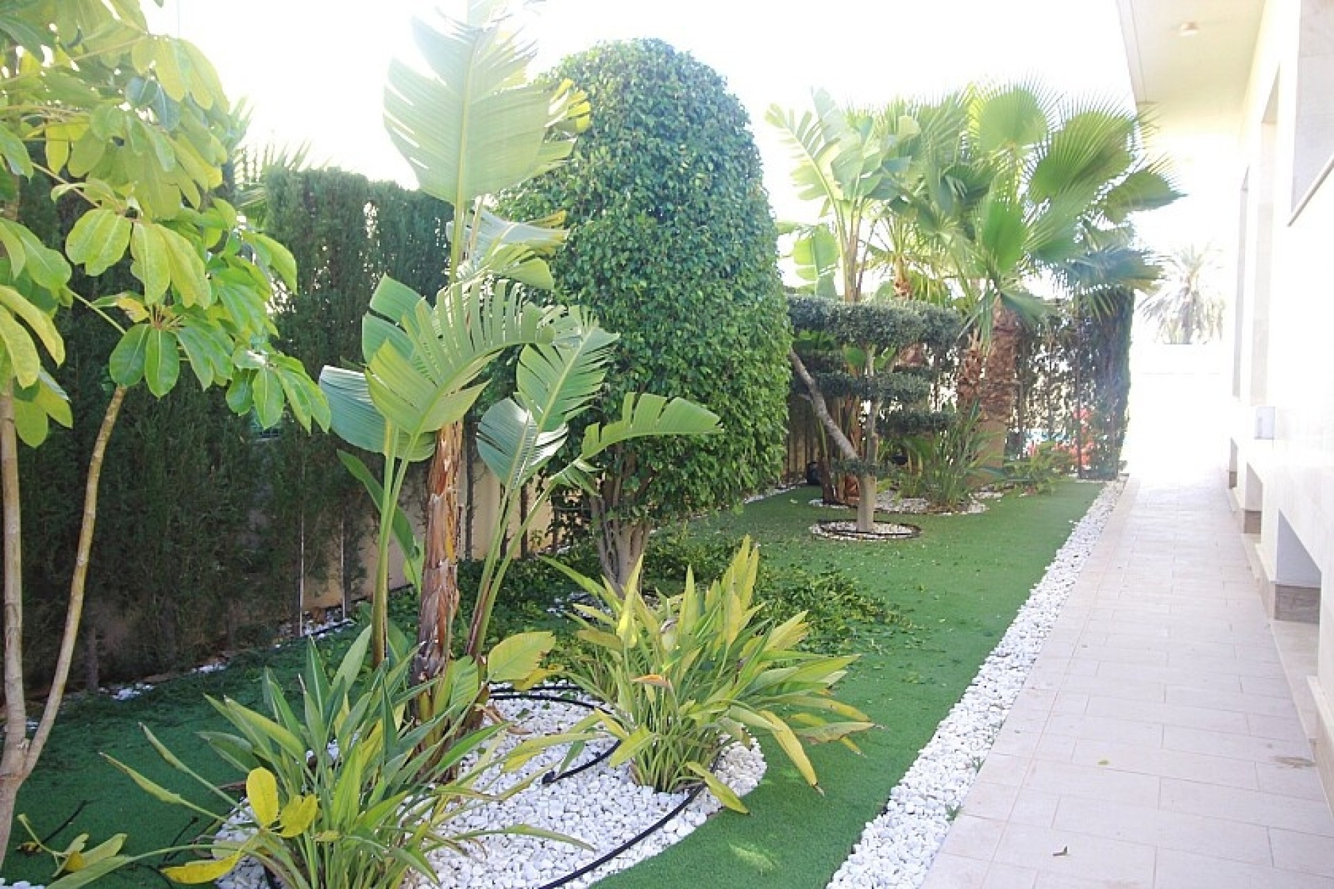 Resale - Villa - Orihuela Costa - La Zenia