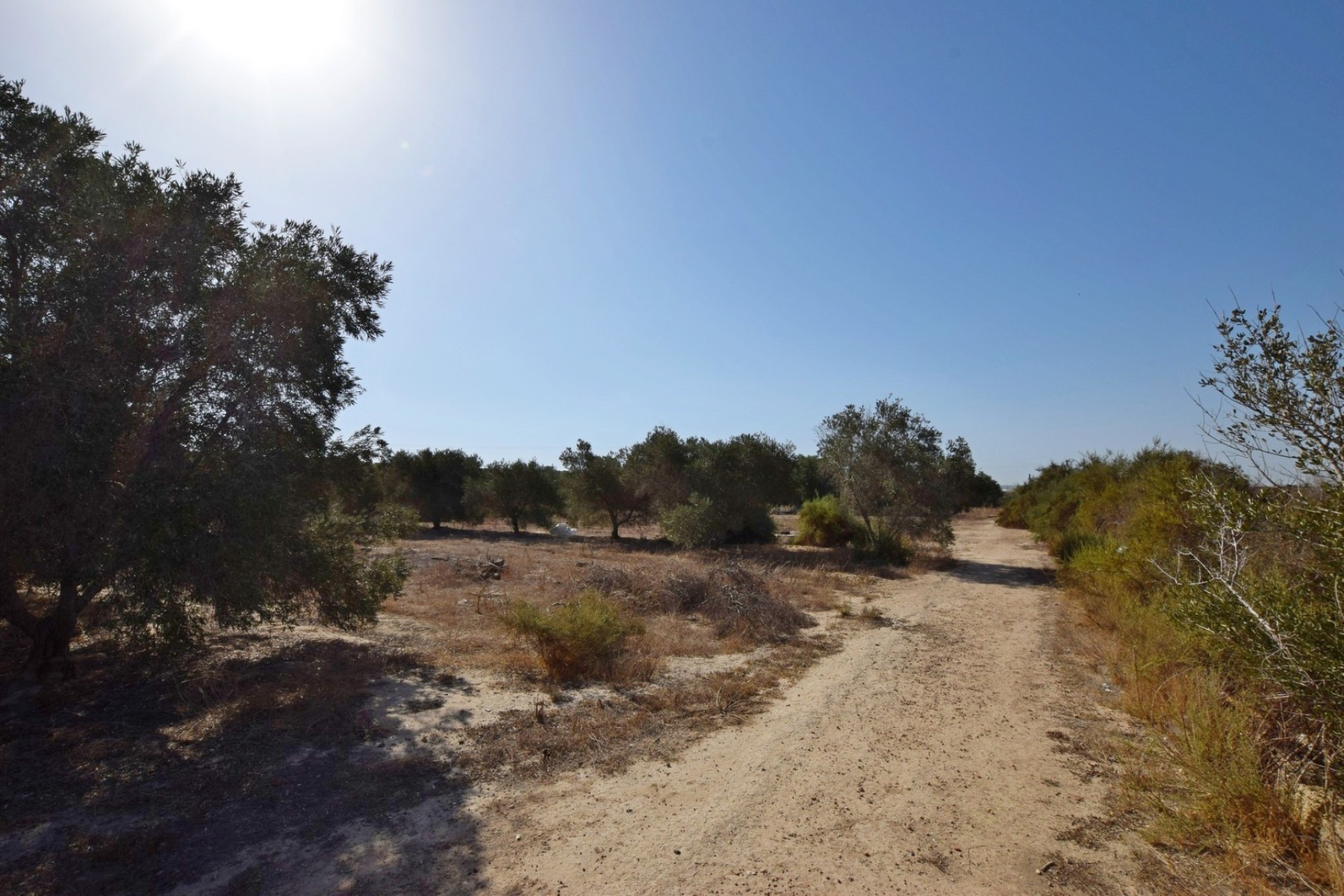 Resale - Villa - San Fulgencio - Oasis La Marina