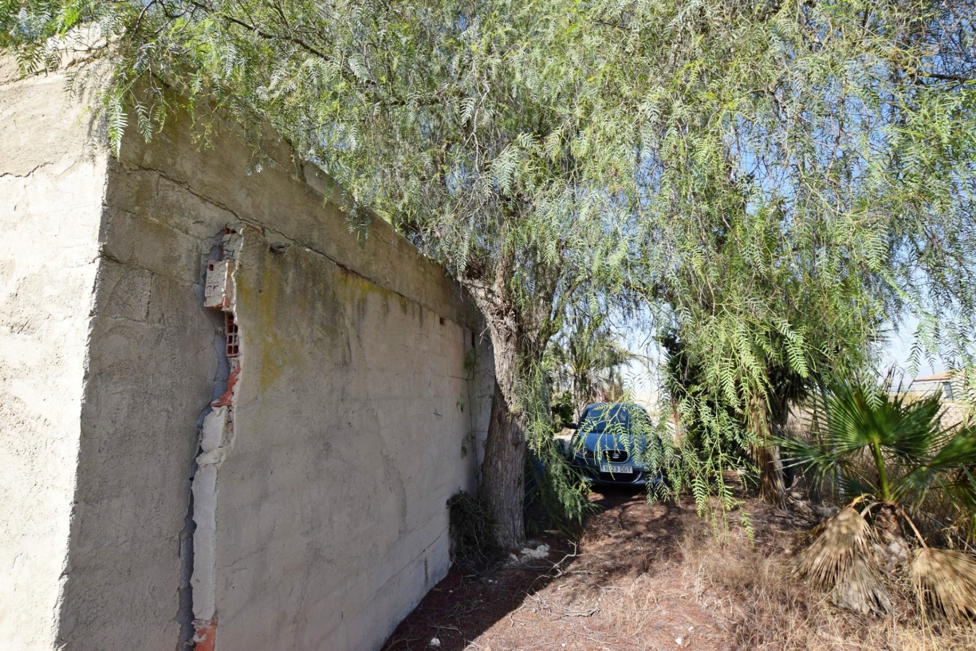 Resale - Villa - San Fulgencio - Oasis La Marina