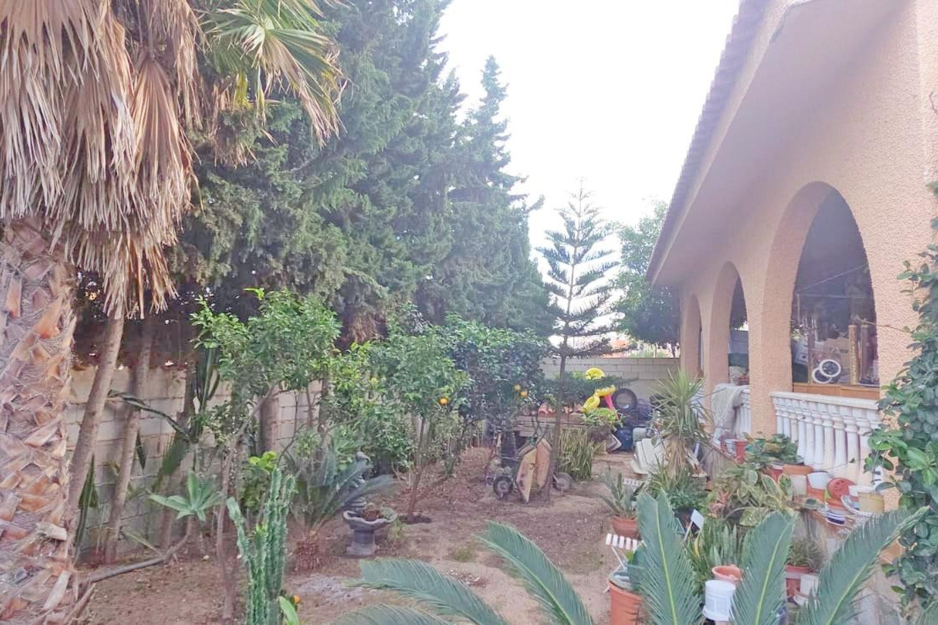 Resale - Villa - Torrevieja - Calas - norte ciudad