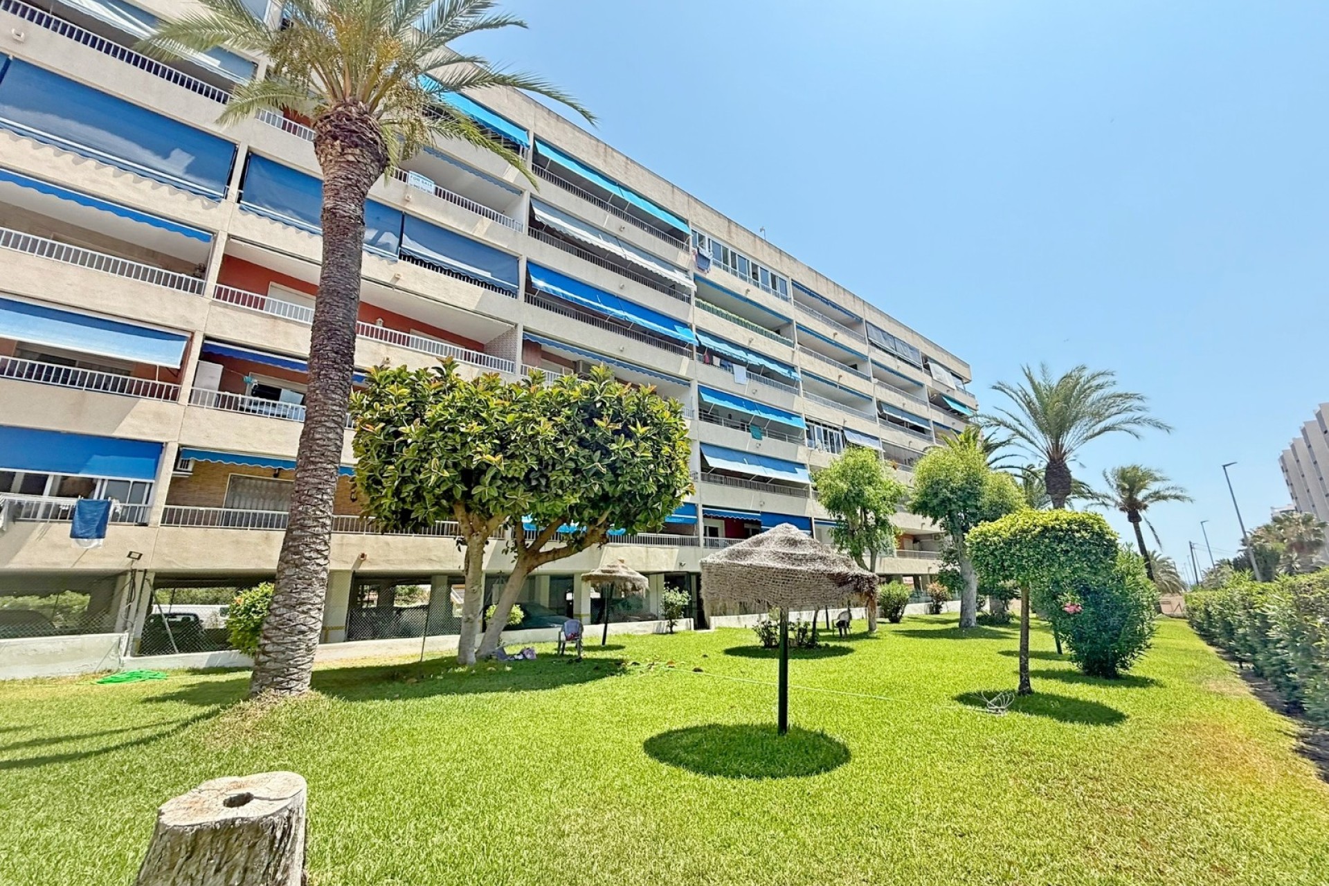 Reventa - Apartment - Orihuela Costa - Punta Prima
