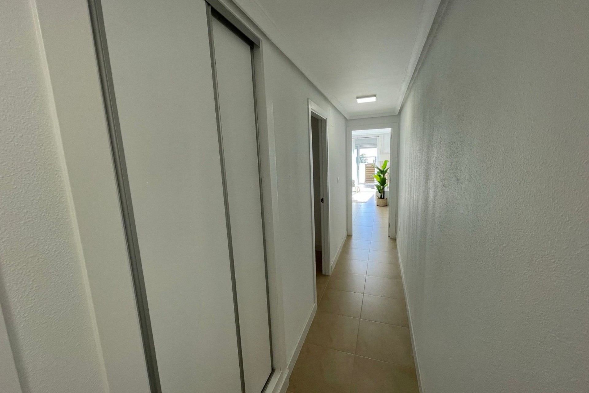 Reventa - Ático - Torrevieja - Centro