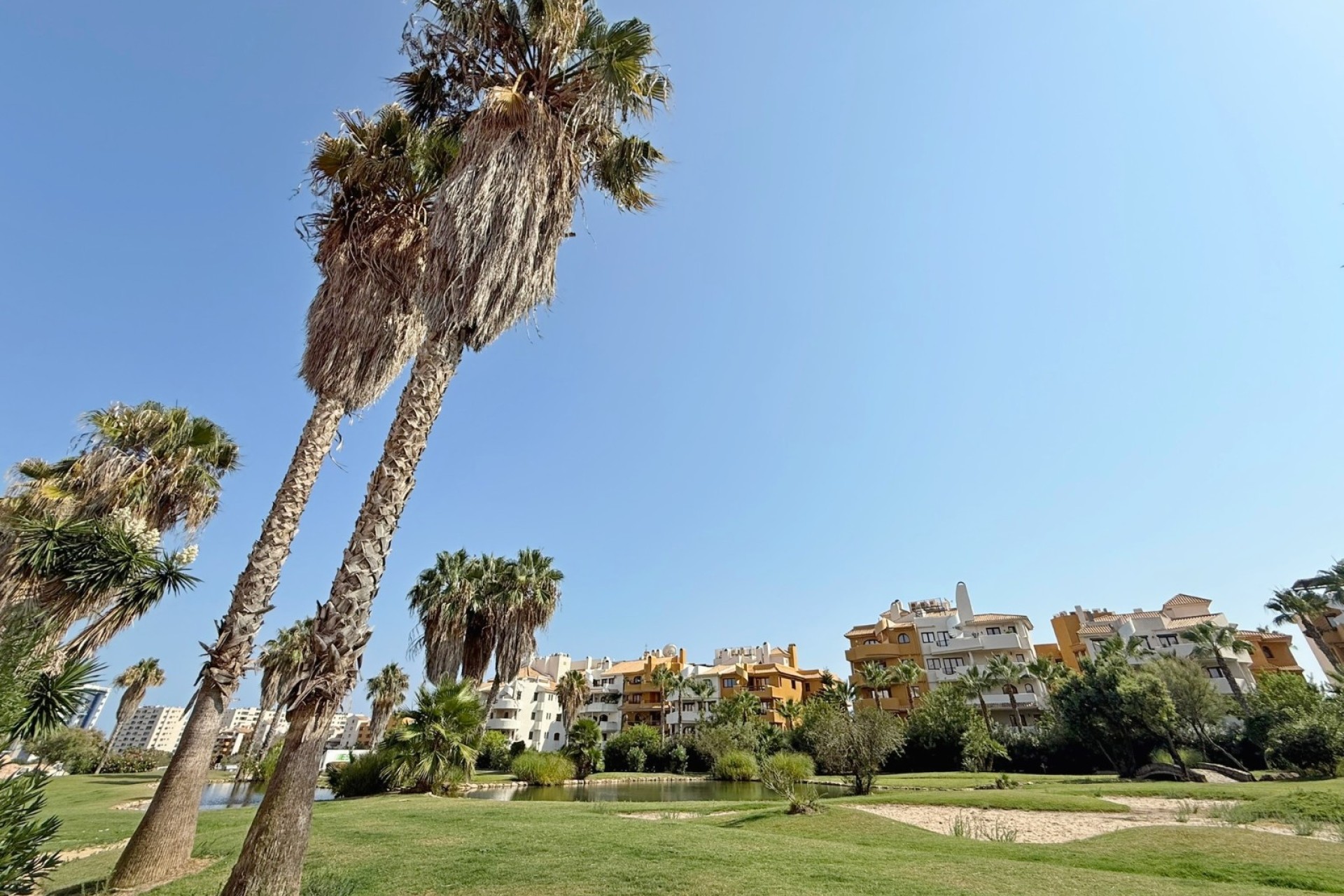 Reventa - Ático - Torrevieja - Punta Prima